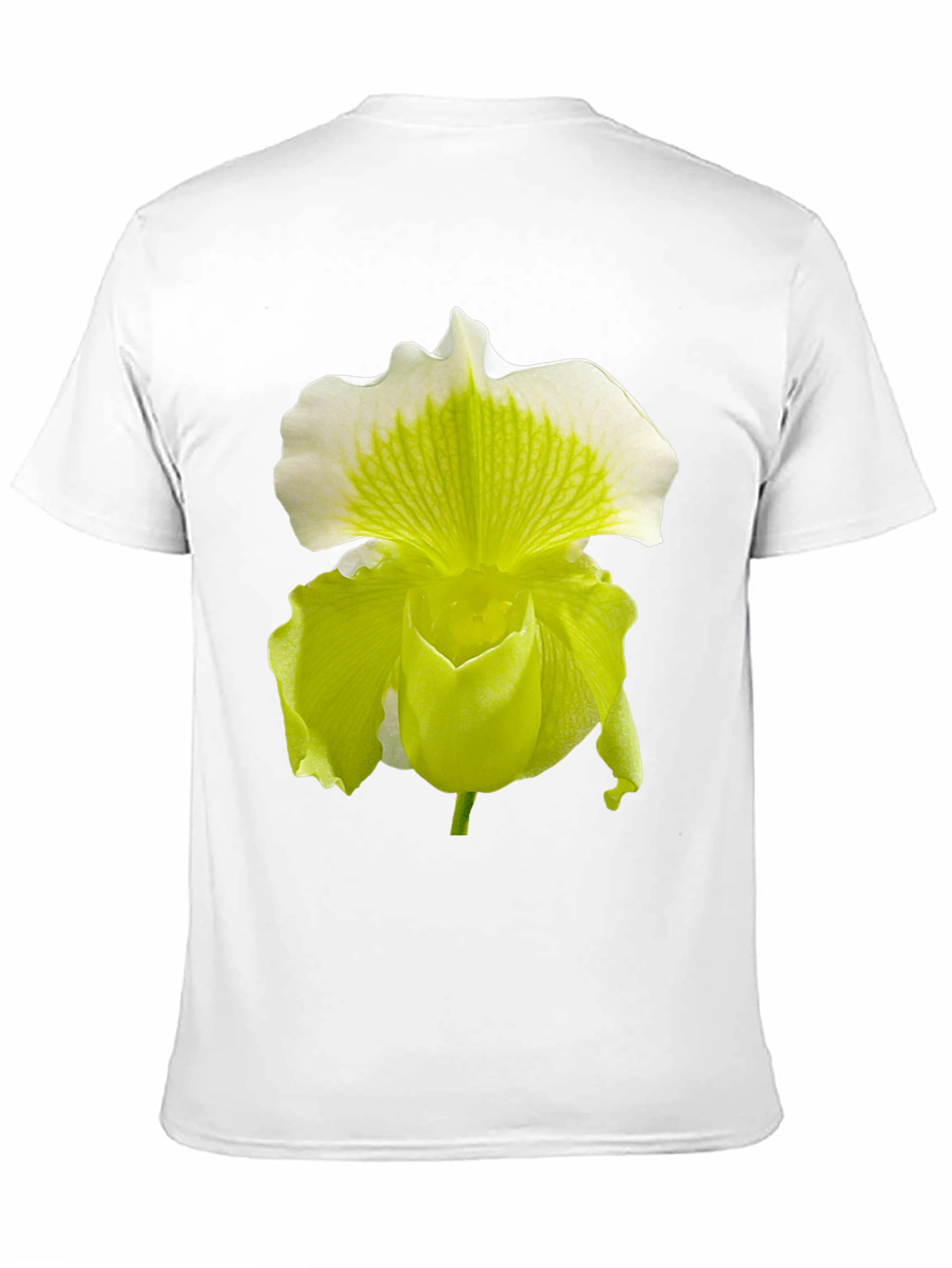 Black Orchid Flower Graphic Tee - Black Cotton Blend view 11