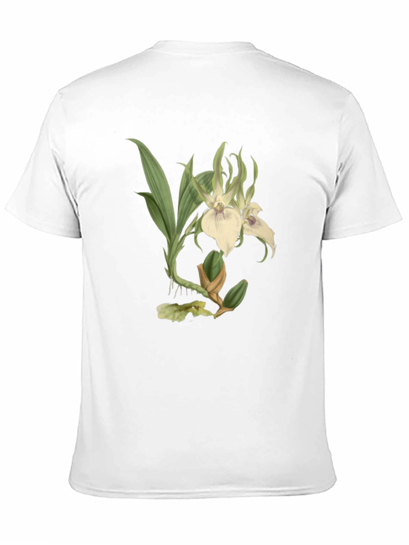 Black Botanical Orchid Graphic Tee - Black Cotton Blend view 11