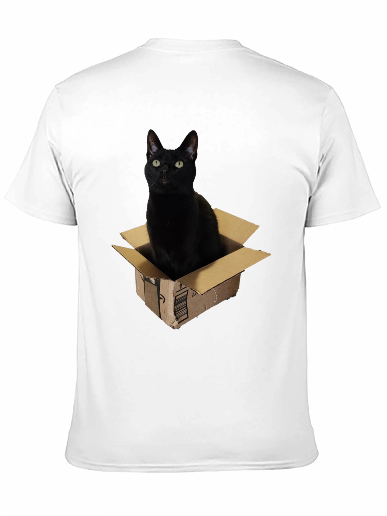 Black Black Cat in Box Graphic T-Shirt view 11