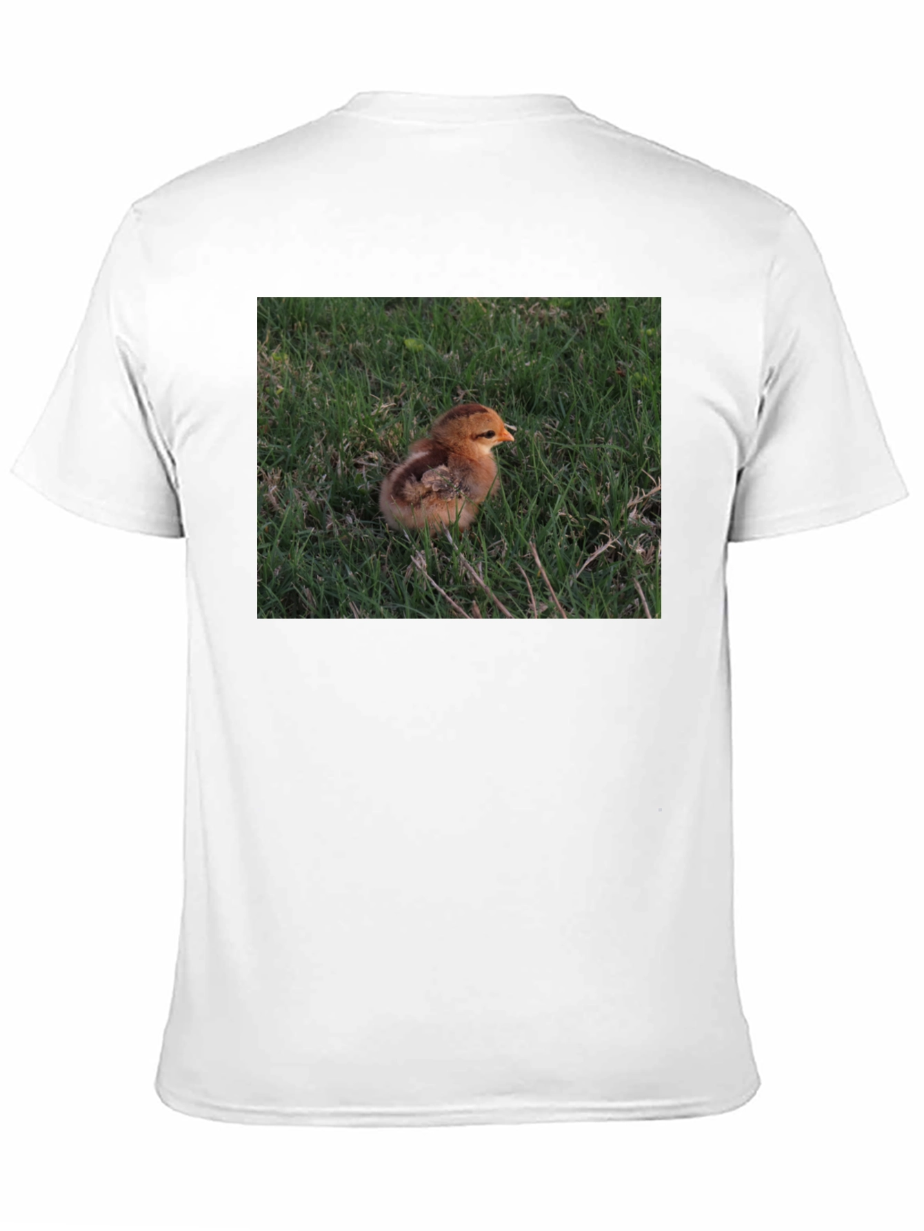 Black Cute Chick in Grass Graphic T-Shirt view 11