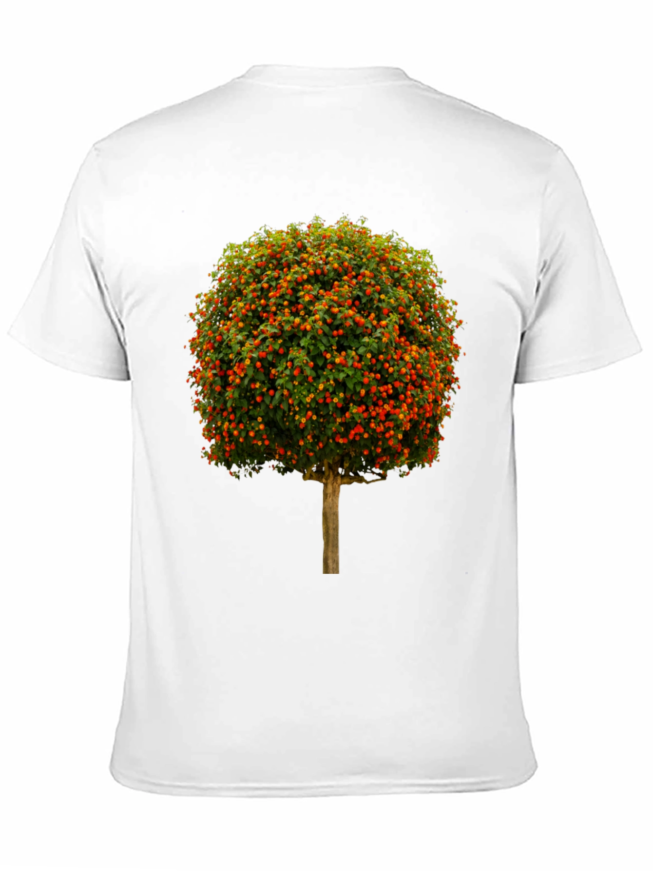 Black Botanical Tree Graphic T-Shirt view 11
