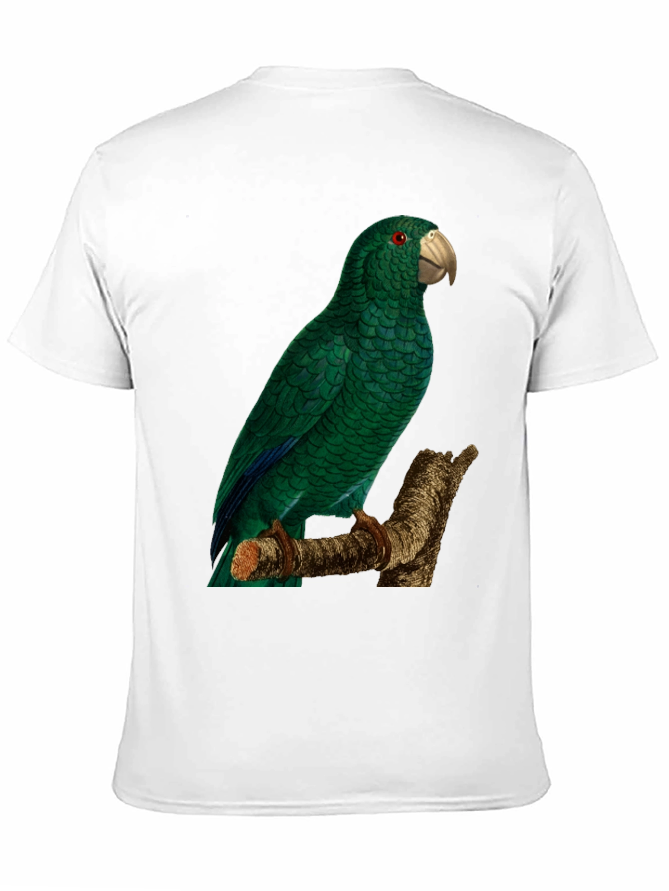 Black Green Parrot Graphic Tee - Nature Lover's Apparel view 11