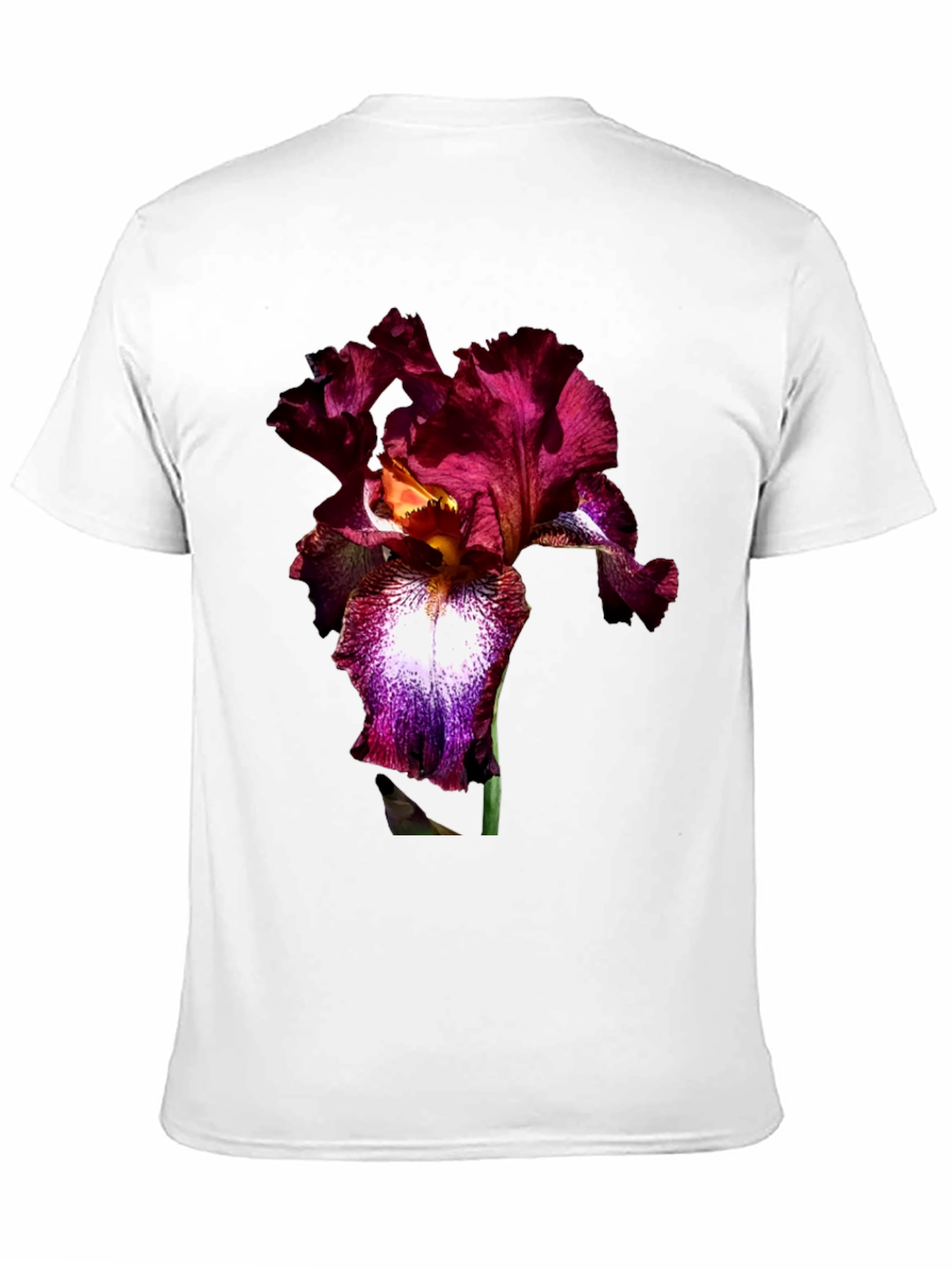 Black Floral Iris Print Black T-Shirt view 11