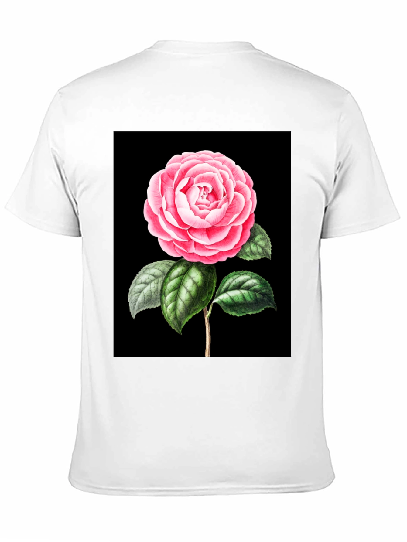 Black Elegant Rose Graphic Tee - Black Cotton Blend view 11