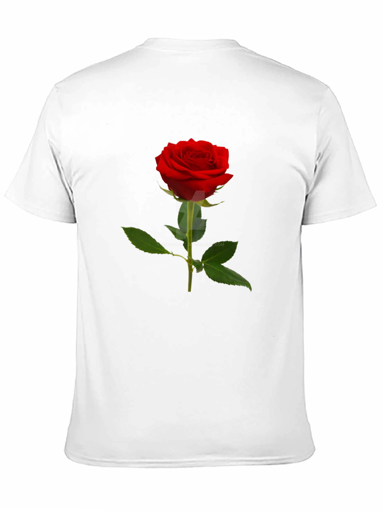 Black Classic Red Rose T-Shirt - Elegant Floral Design view 11