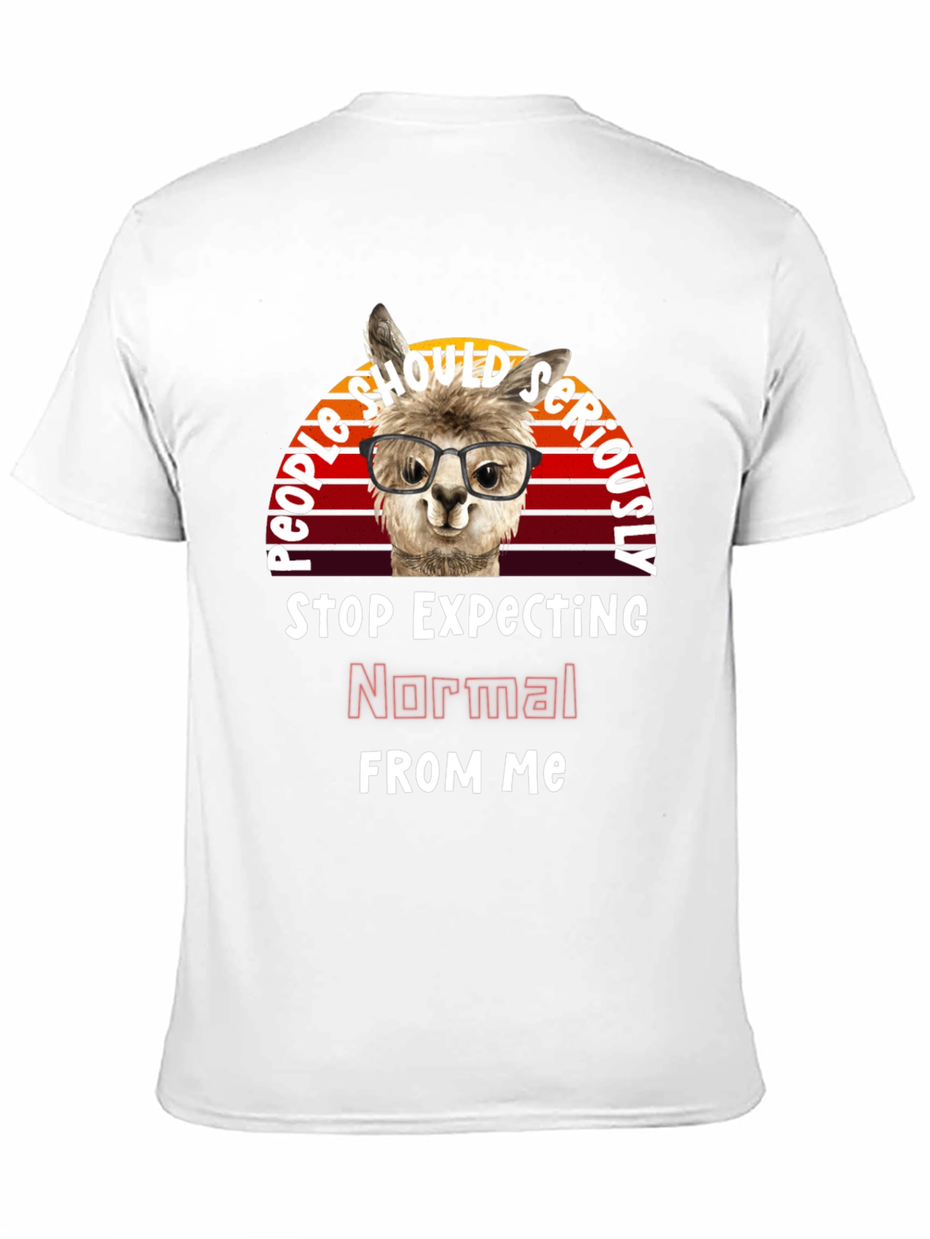 Black Llama "Normal" Graphic Tee - Quirky & Comfy view 11