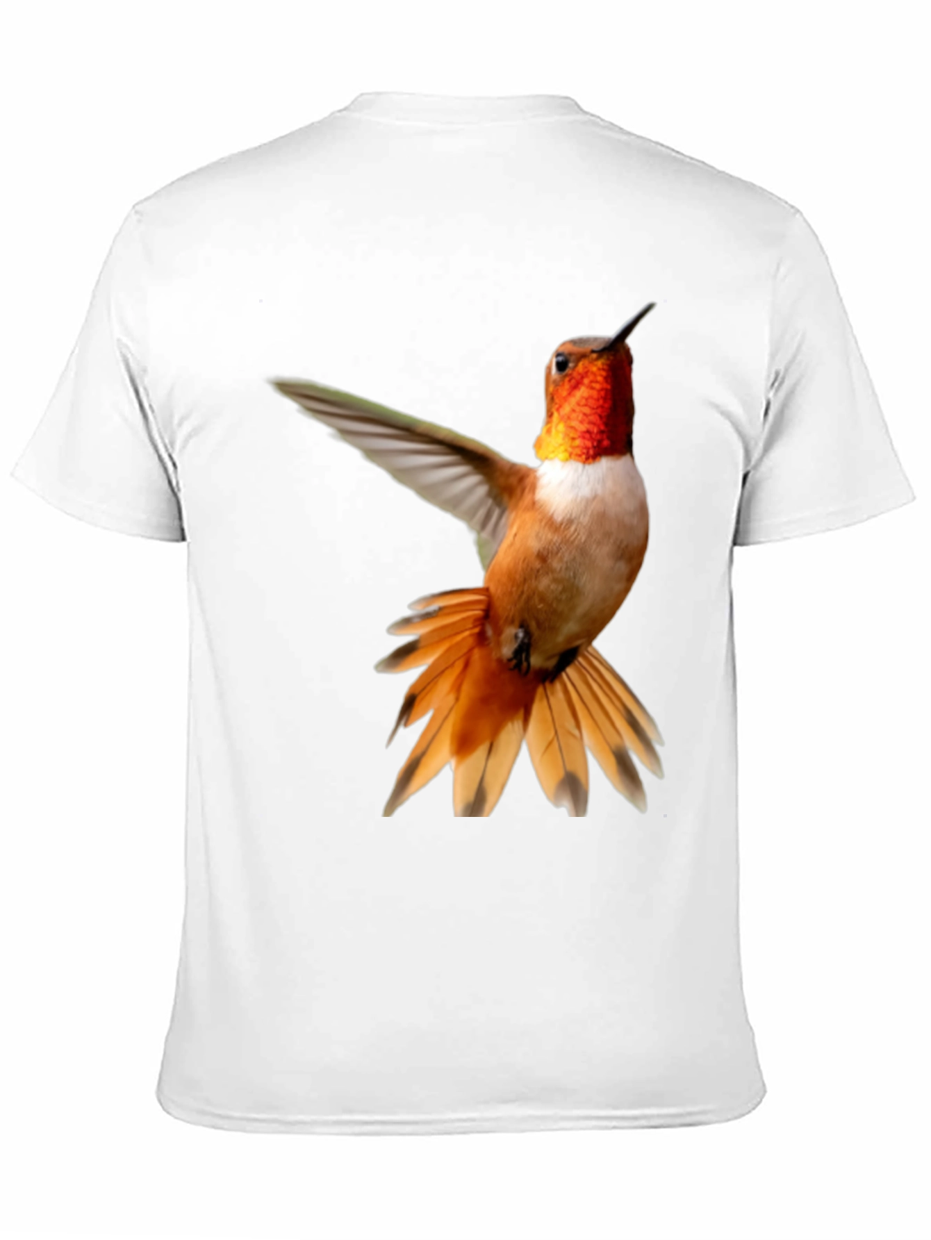 Black Hummingbird Graphic Tee - Black Cotton Blend view 11