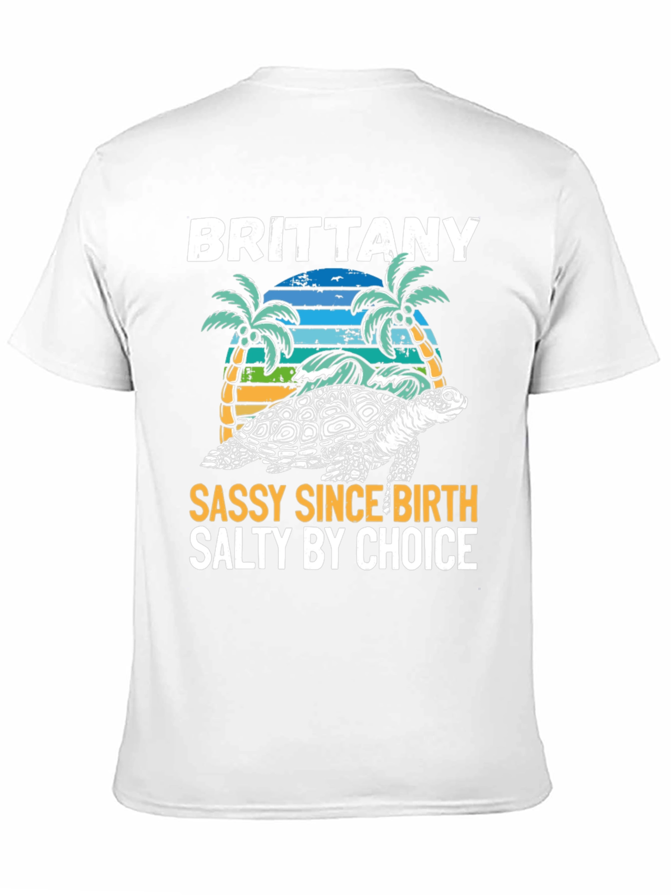 Brittany Turtle Sassy & Salty Graphic Tee - 11