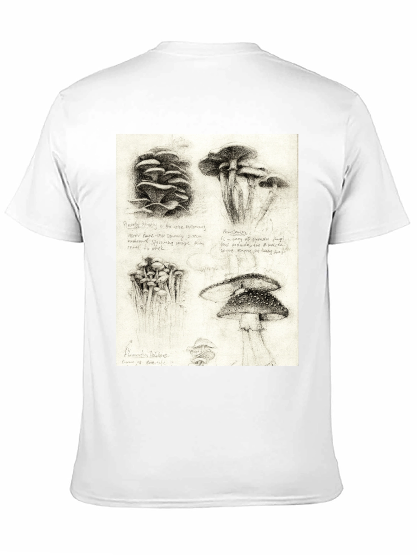 Black Mushroom Sketch Art T-Shirt - Nature Inspired Tee view 11