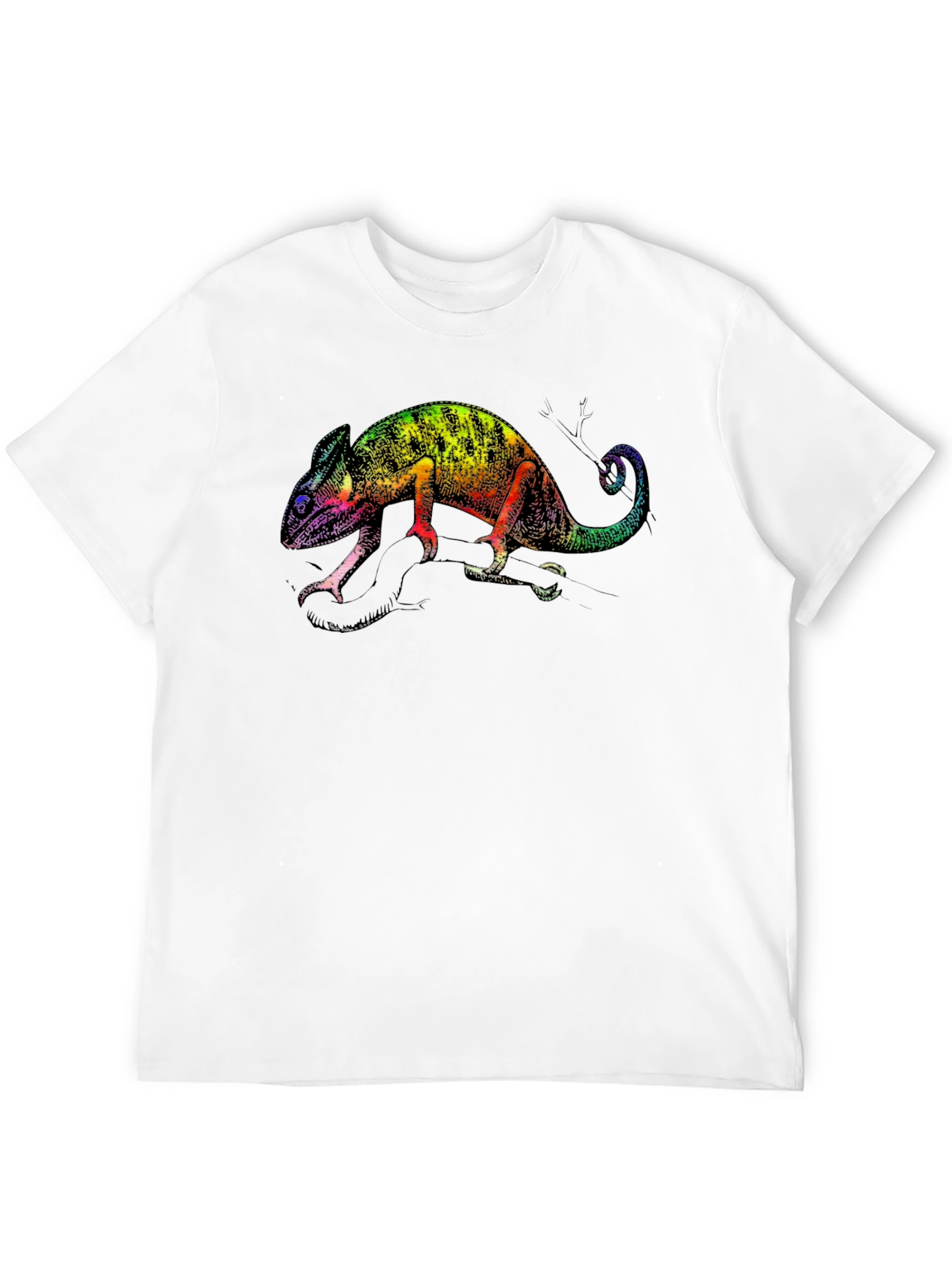 Black Rainbow Chameleon Graphic Tee view 12