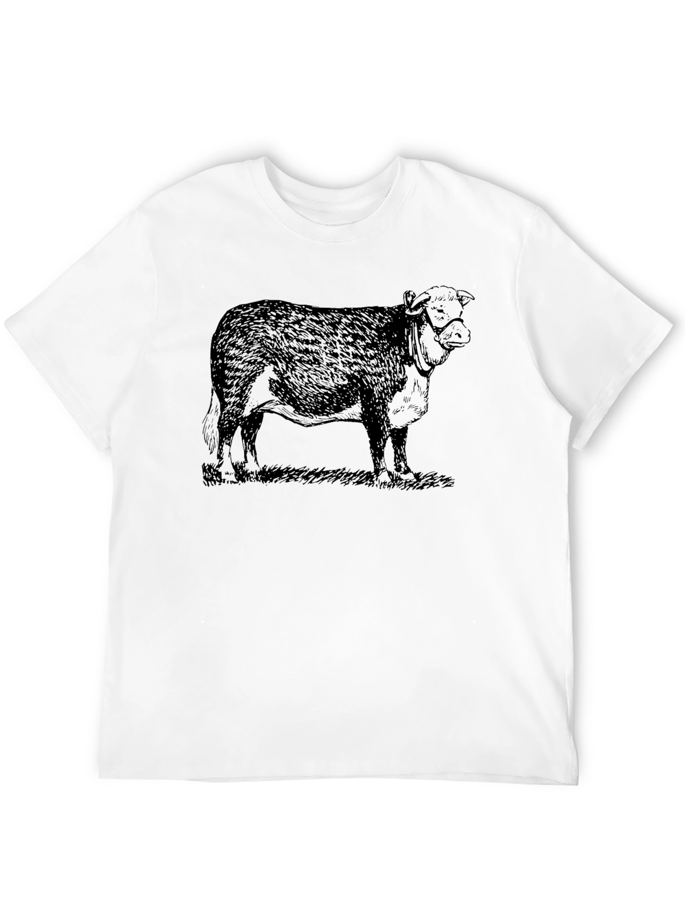 Black Cow Graphic Tee - Black Casual T-Shirt view 12