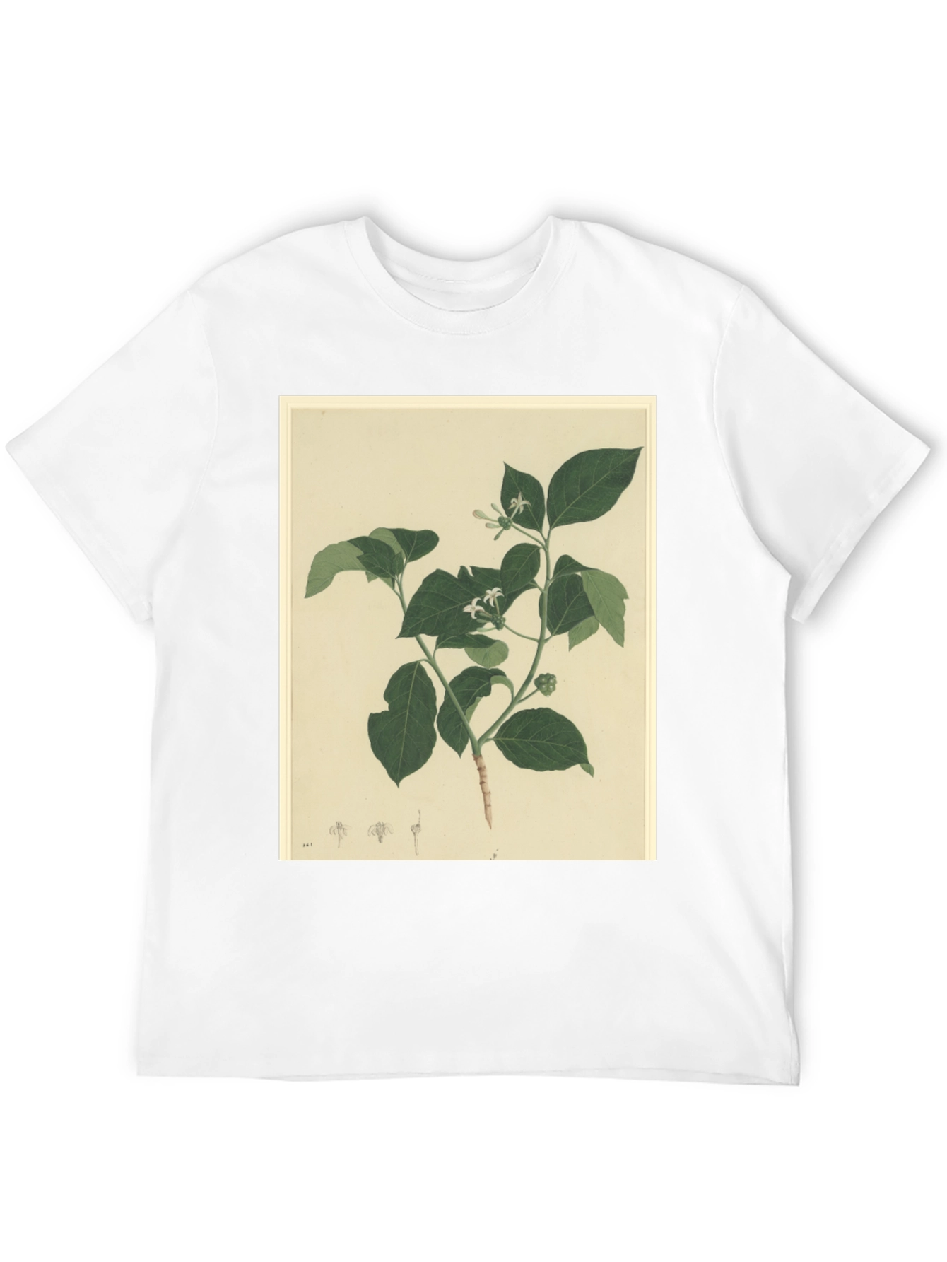 Black Botanical Print Black T-Shirt view 12