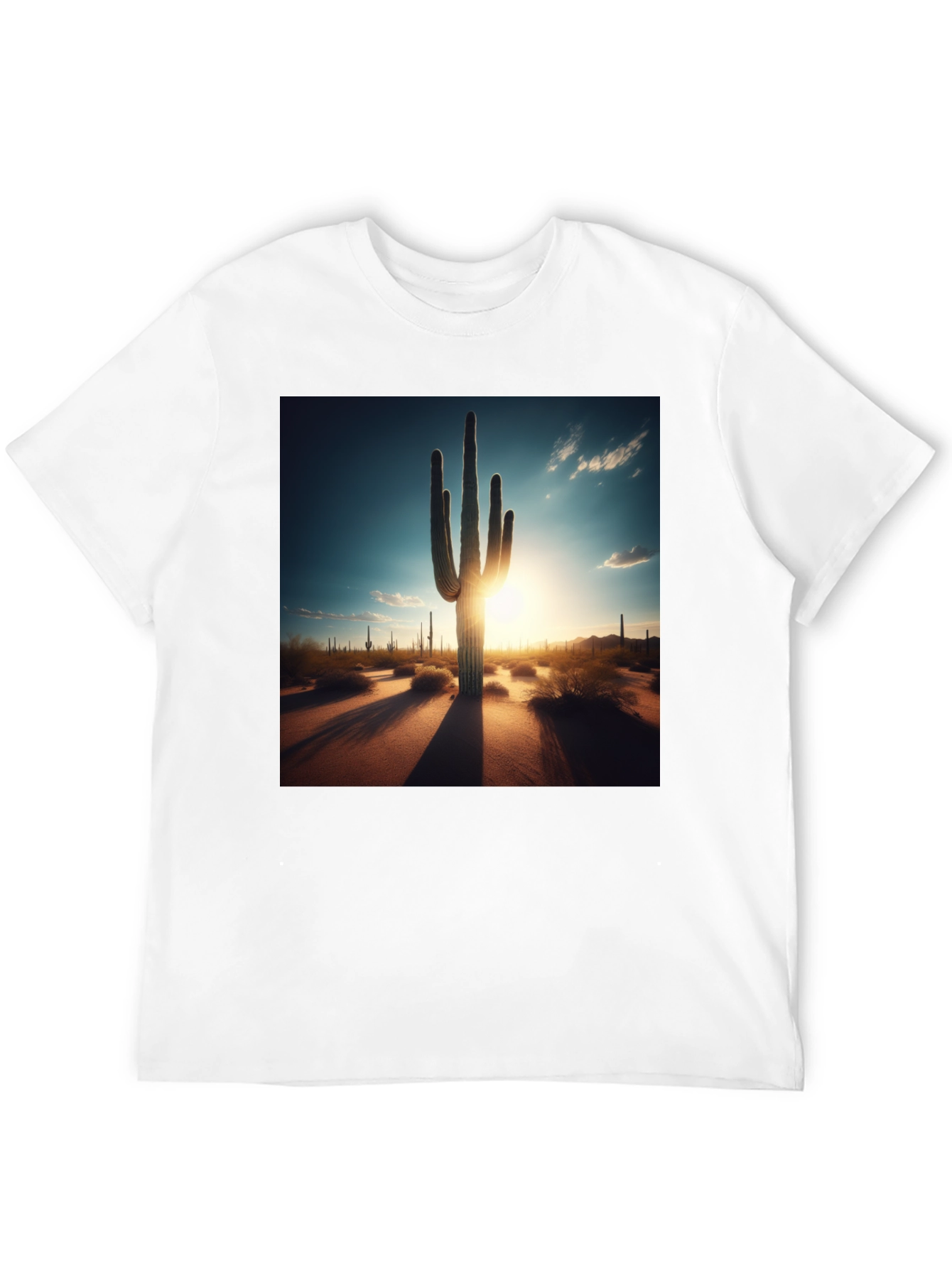 Black Desert Sunset Cactus Graphic Tee - Black Cotton T-Shirt view 12