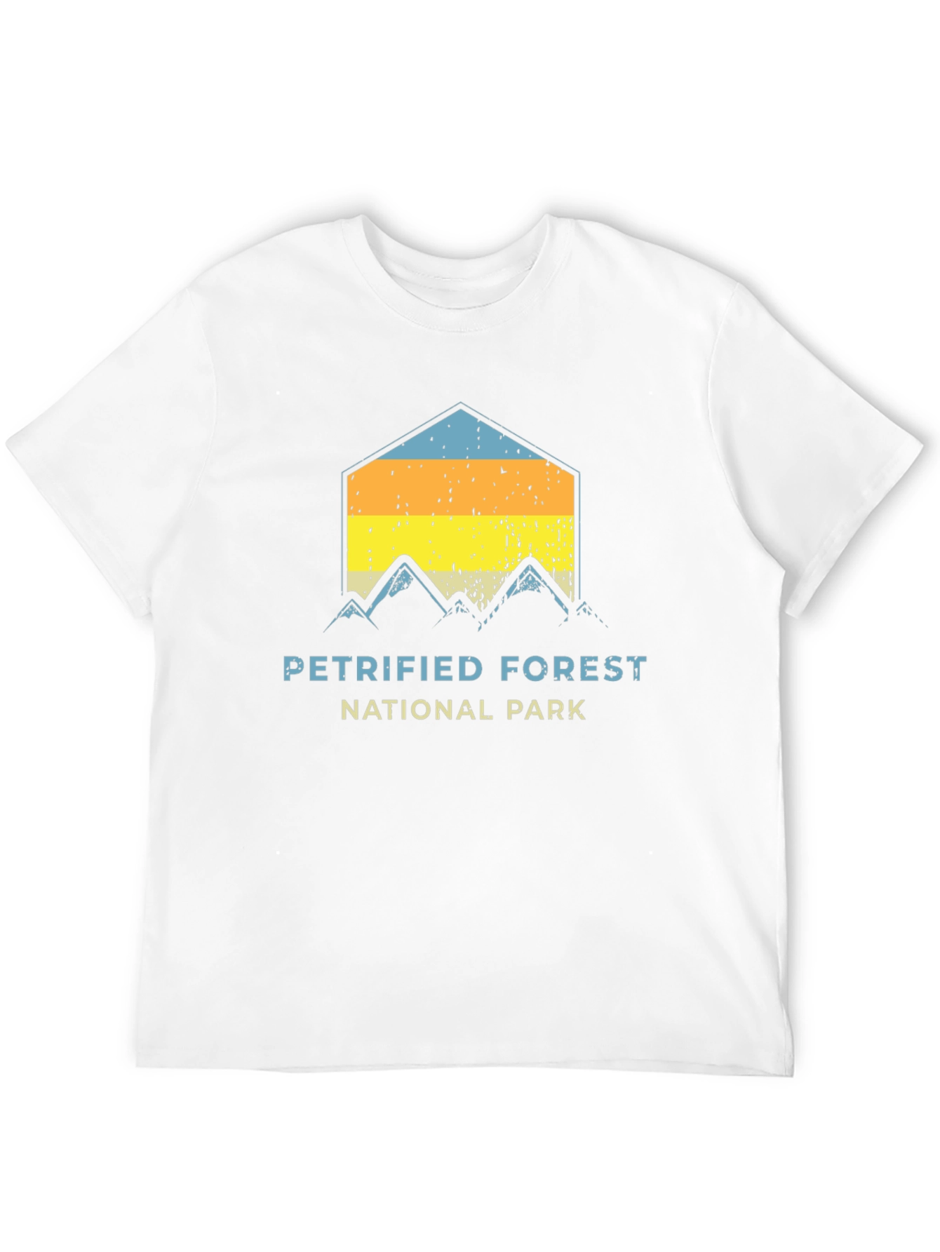 Black Petrified Forest National Park Graphic Tee view 12
