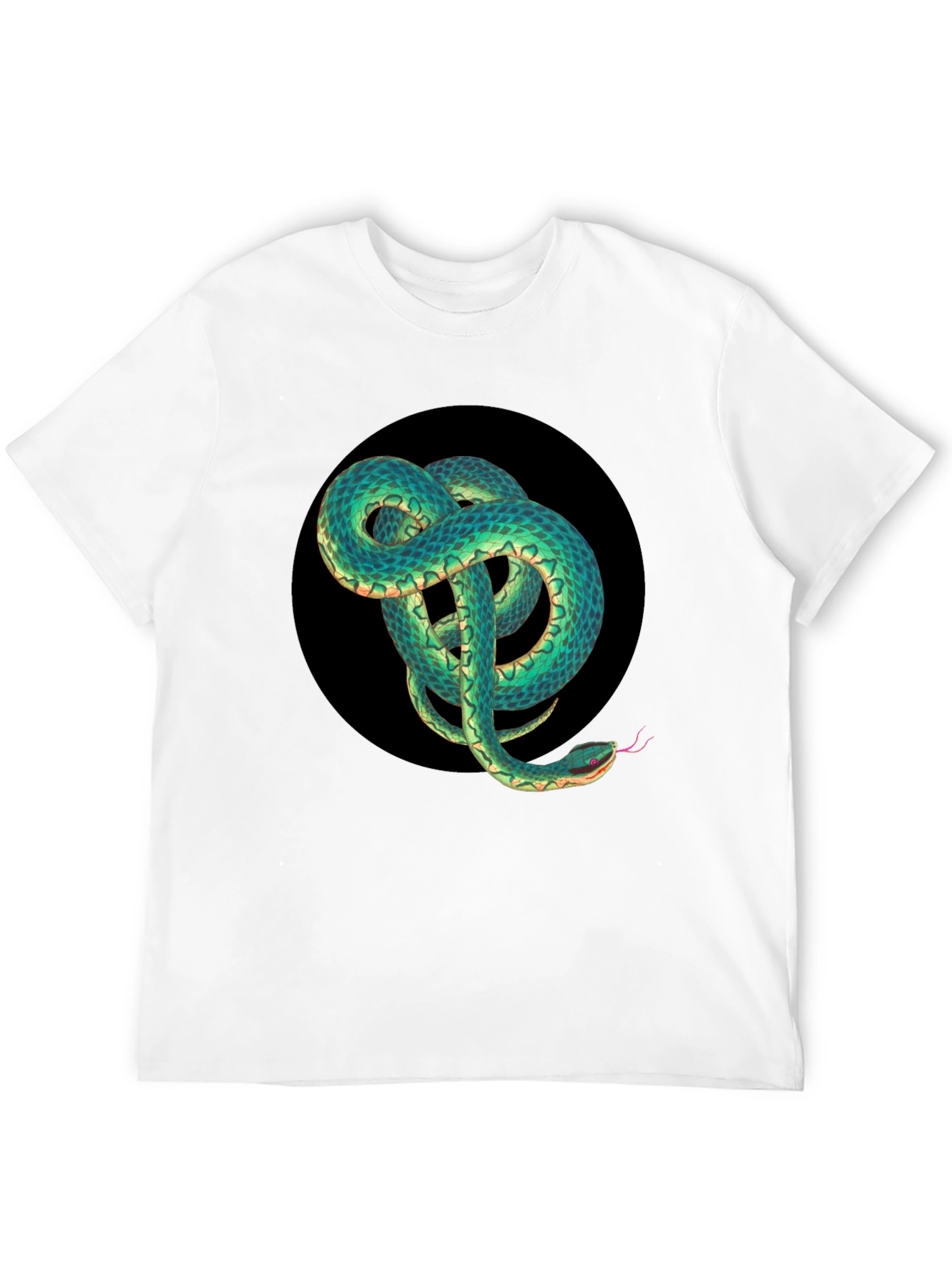 Black Snake Graphic Black T-Shirt view 12