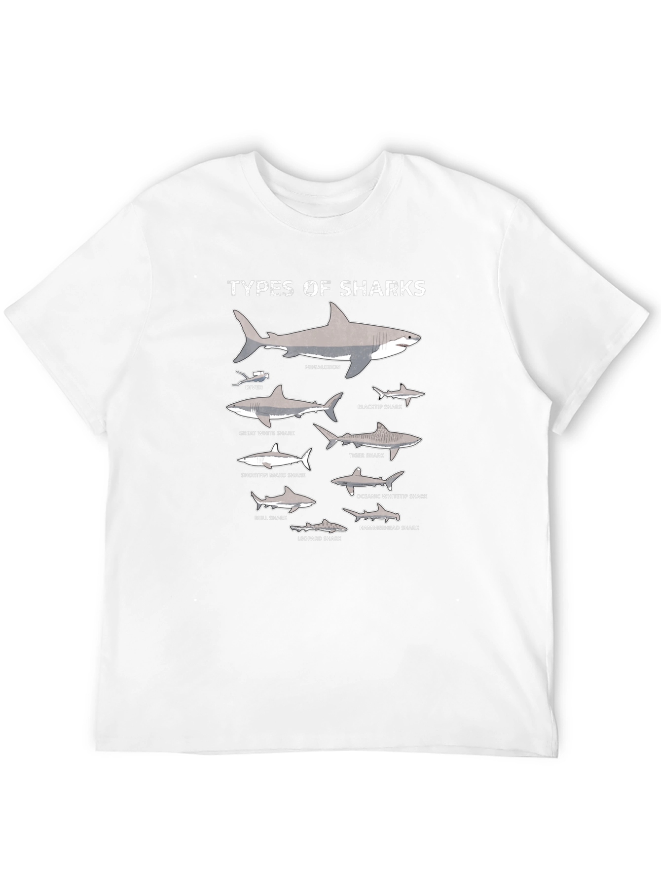 Black Types of Sharks Graphic T-Shirt view 12