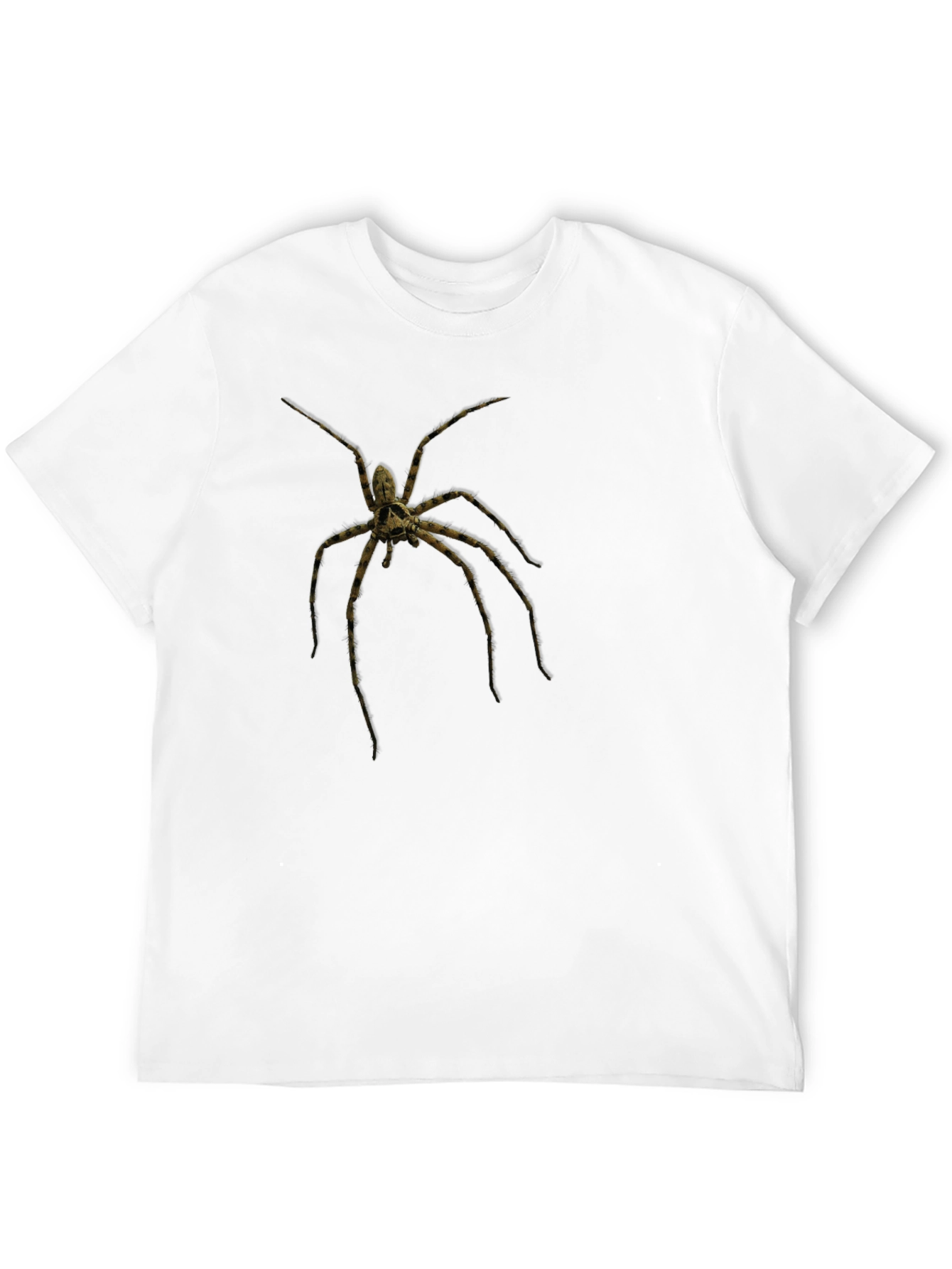 Black Creepy Spider Graphic Tee - Black Cotton view 12