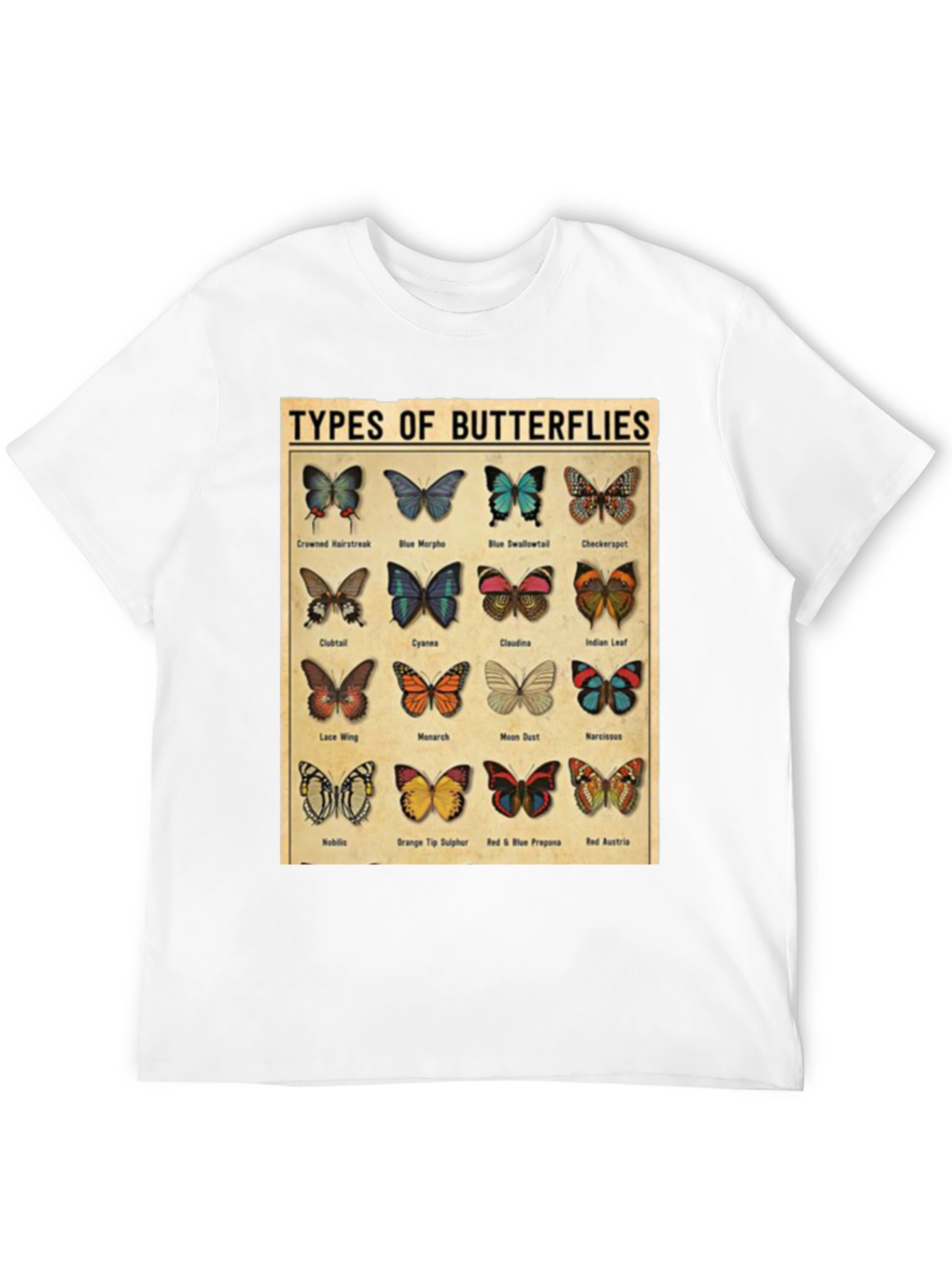 Black Butterfly Types Graphic T-Shirt view 12