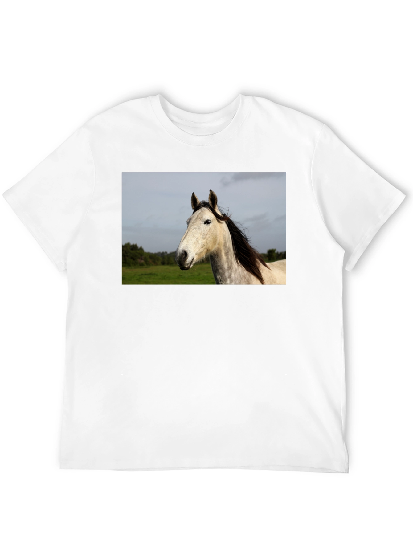 Black Horse Graphic Print Black T-Shirt view 12
