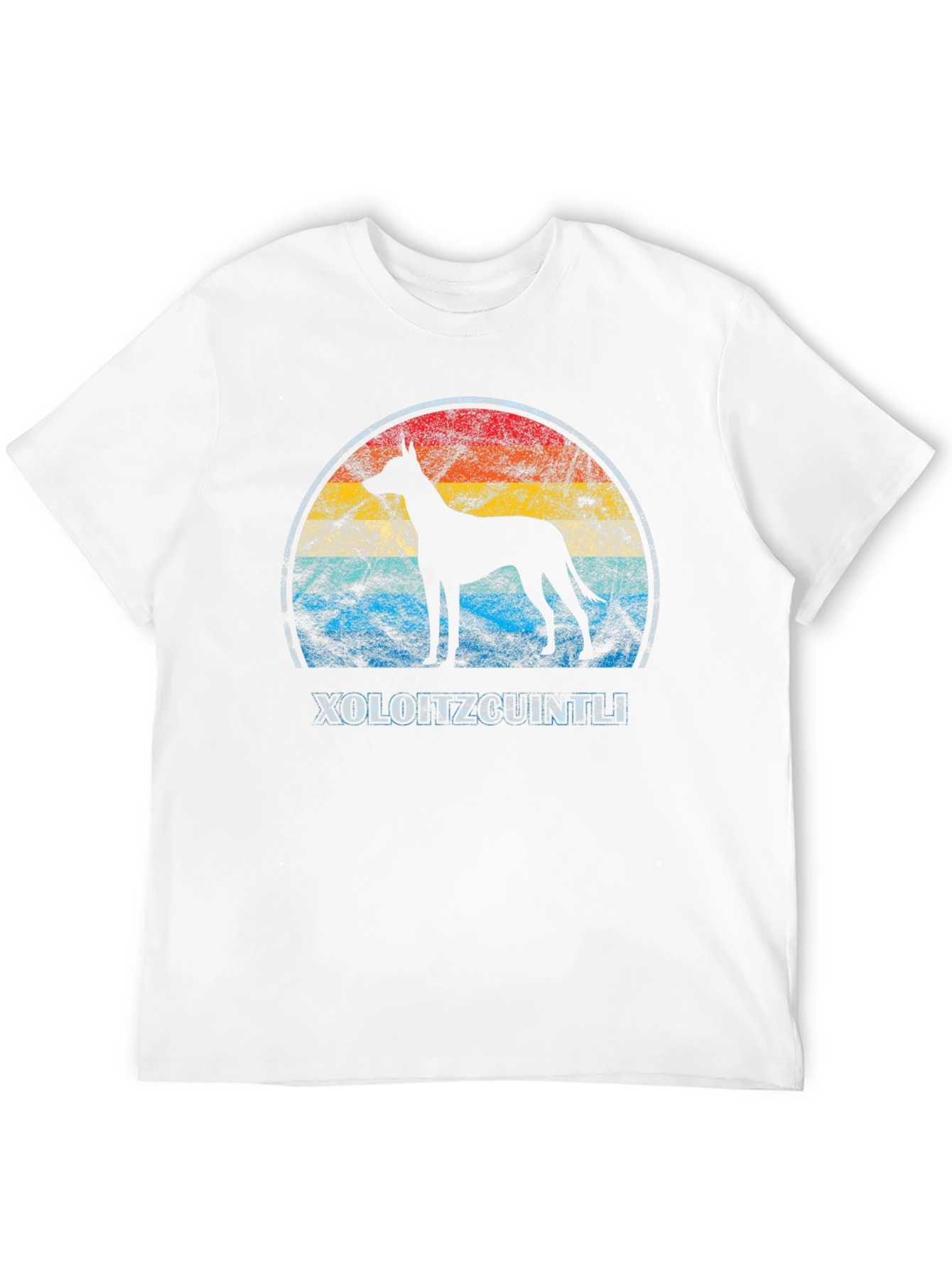 Black Xoloitzcuintli Dog Graphic Tee - Retro Style view 12