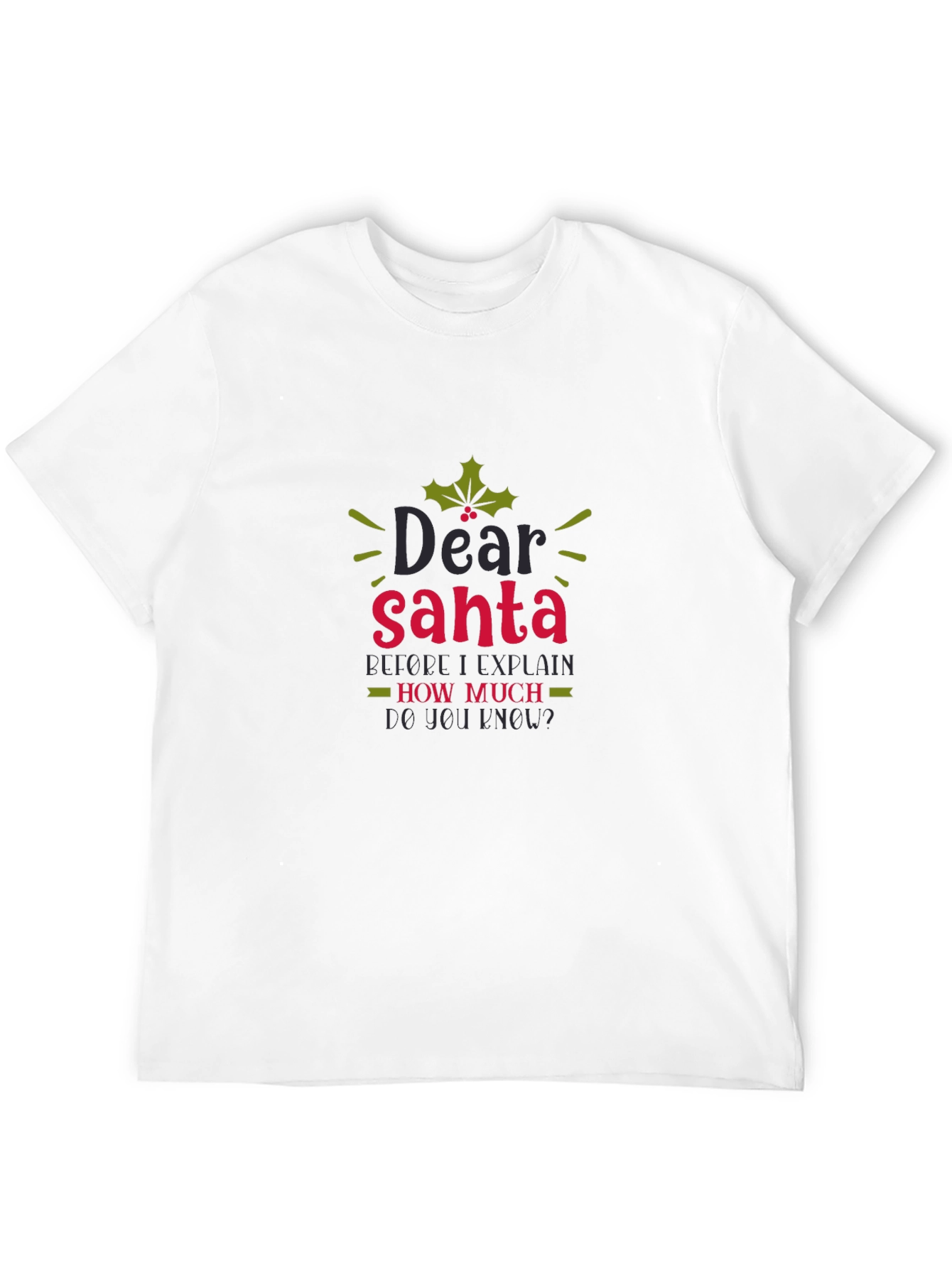 Dear Santa Funny Holiday Tee - 12