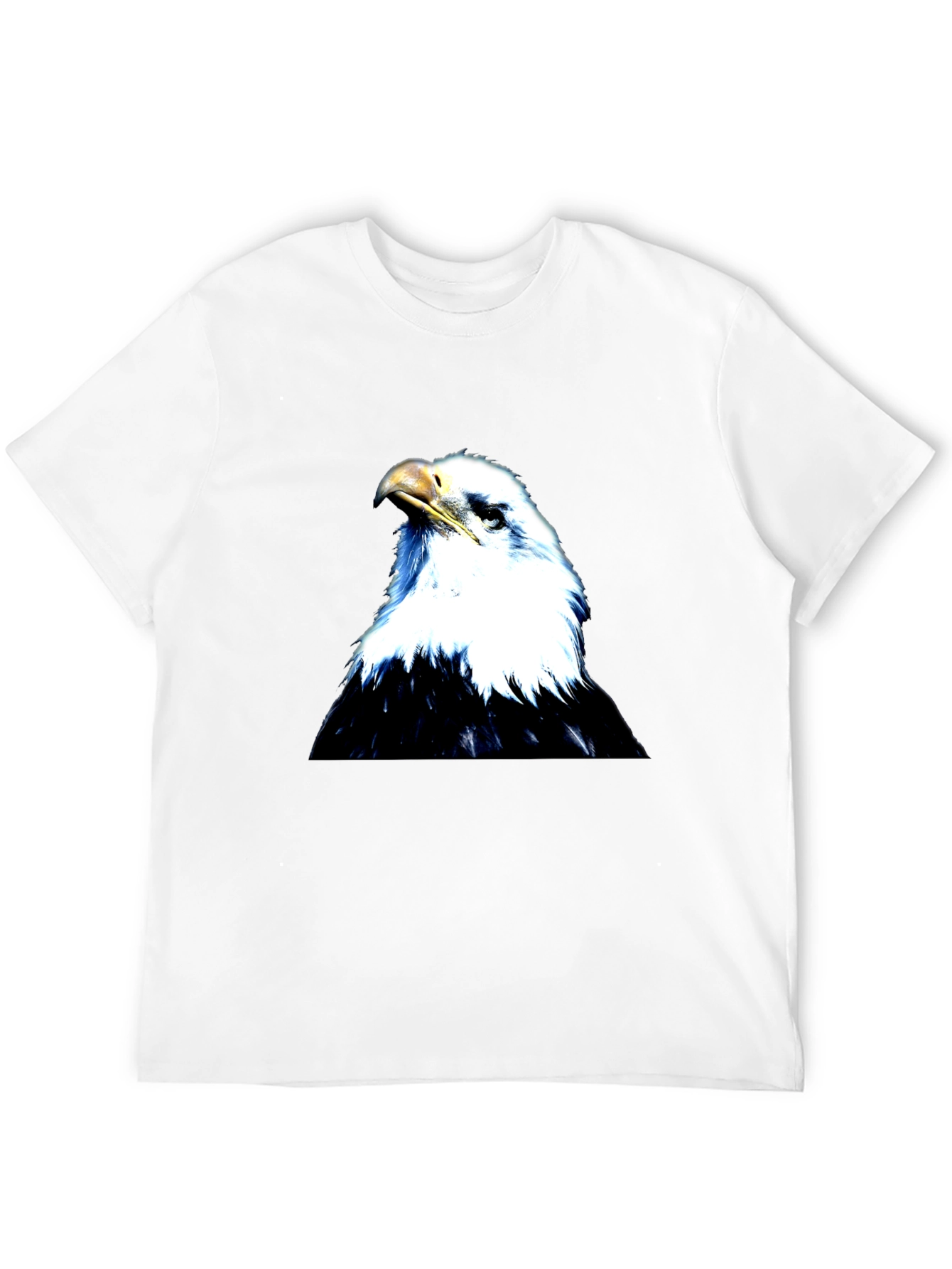 Black Eagle Graphic Black T-Shirt for Men view 12