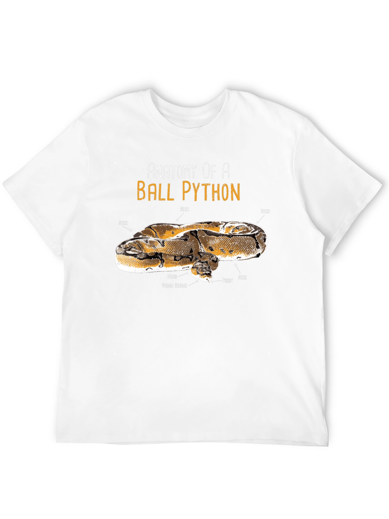 Black Anatomy of Ball Python Funny T-Shirt view 12