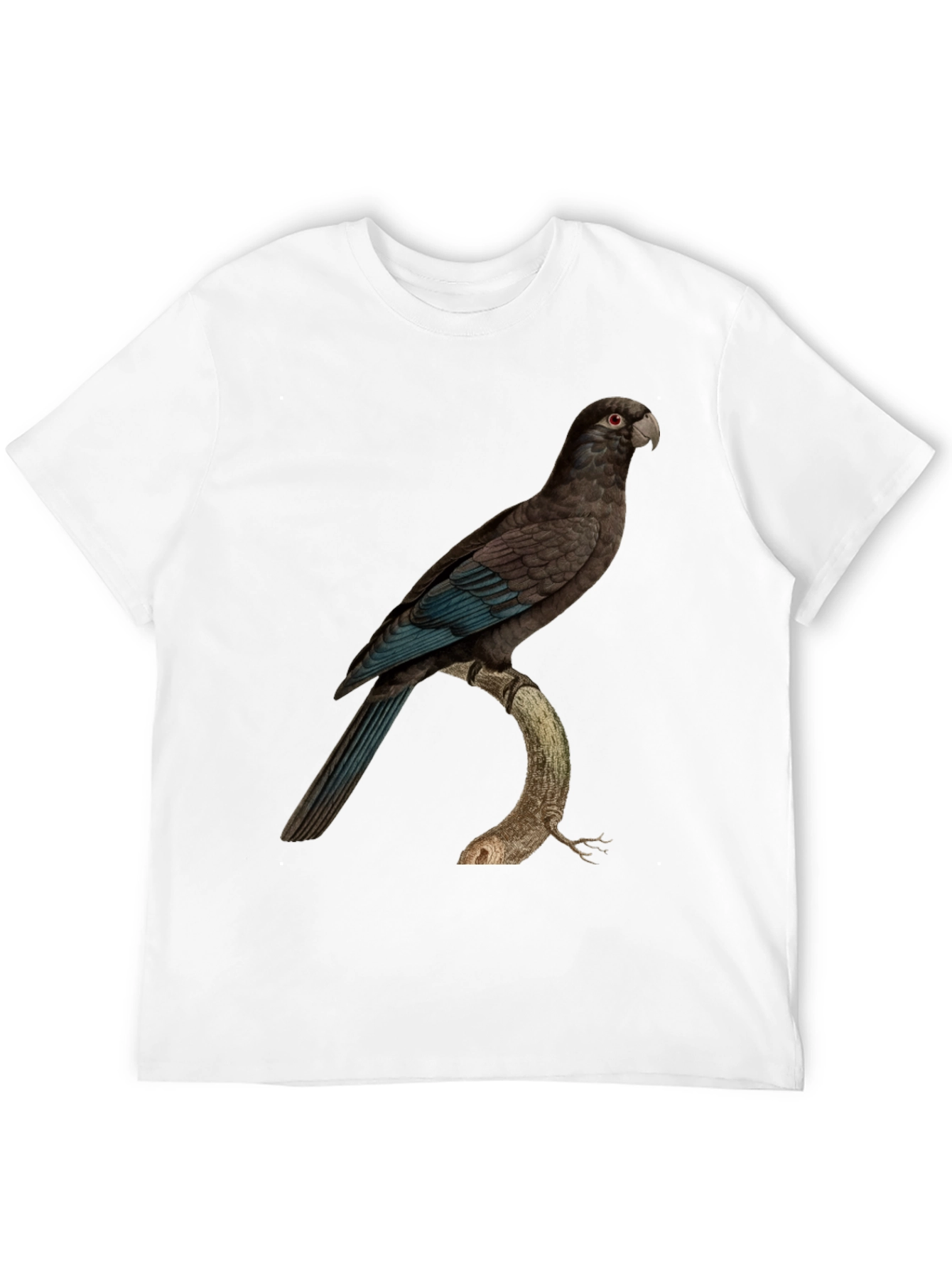 Black Parrot Graphic Print Black T-Shirt view 12