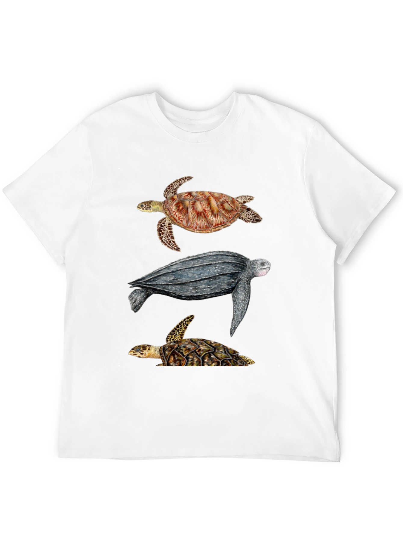 Black Turtle T-Shirt - Sea Life Graphic Tee view 12