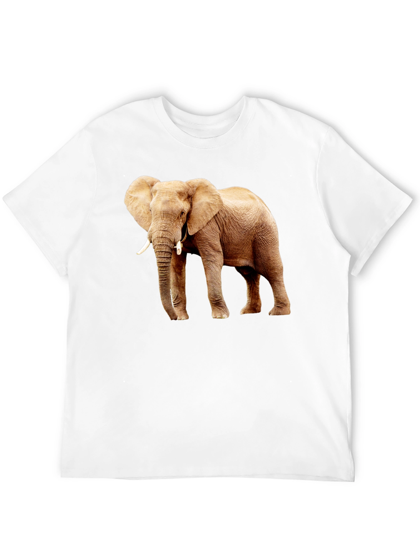 Black Elephant Graphic Print T-Shirt view 12