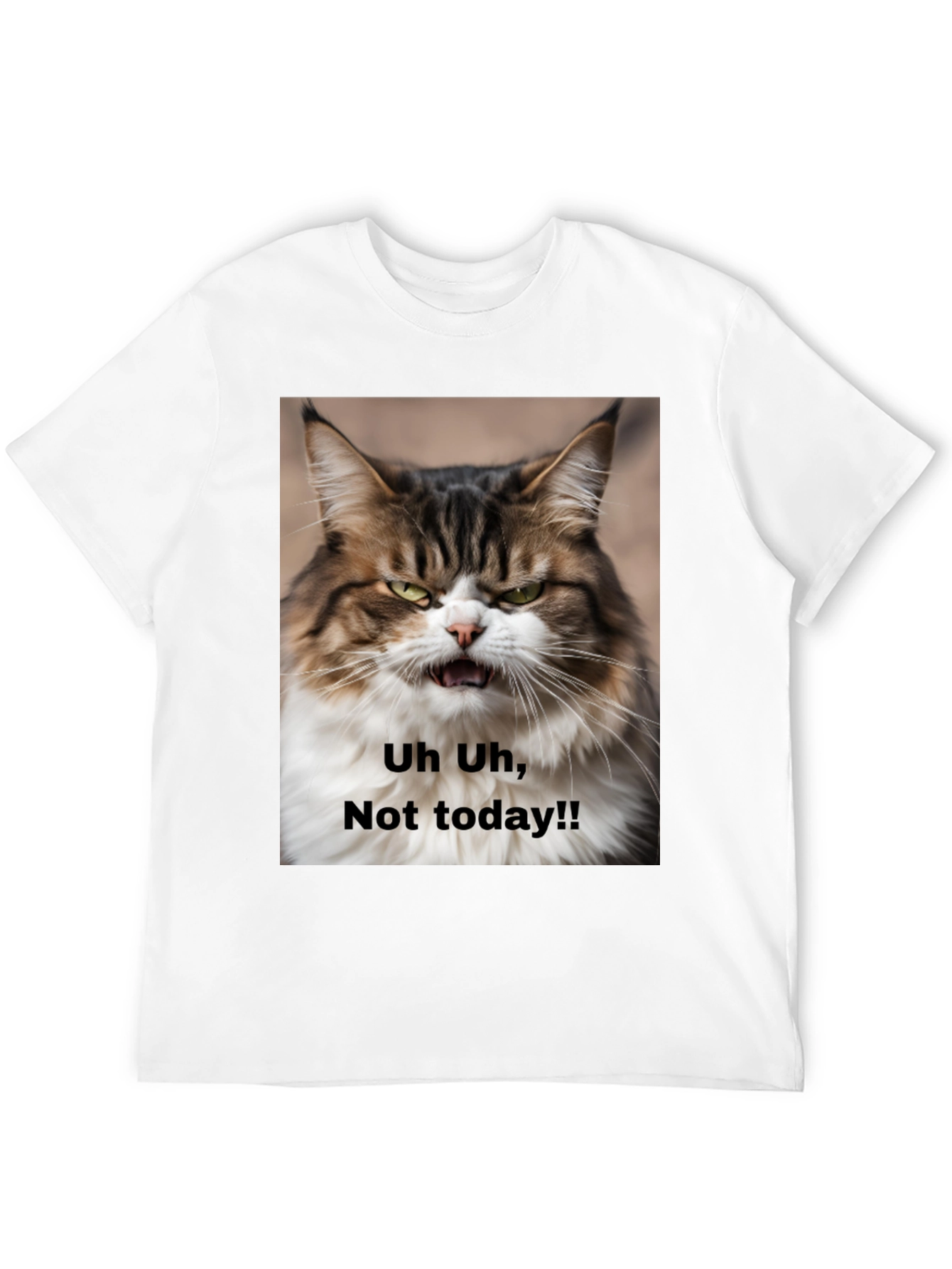 Black Grumpy Cat T-Shirt - "Not Today!" Unisex Black Tee view 12