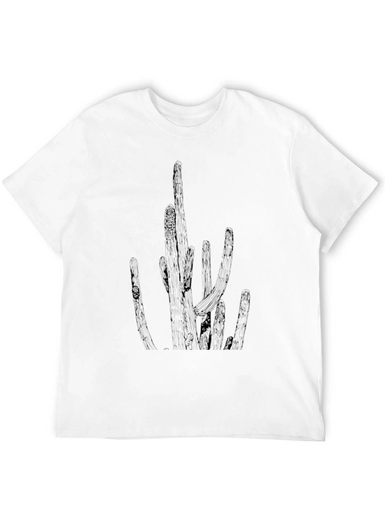 Black Cactus Print Crew Neck T-Shirt - Black view 12