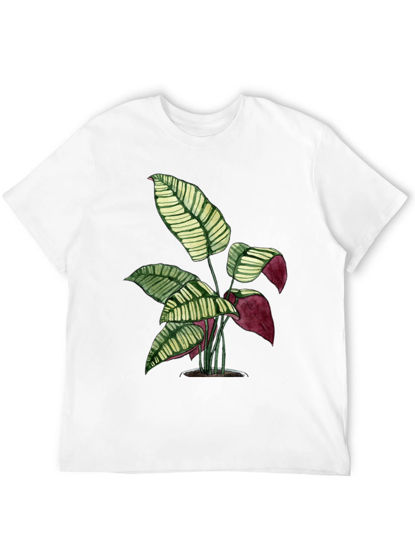 Black Botanical Print Tee - Black Cotton T-Shirt view 12