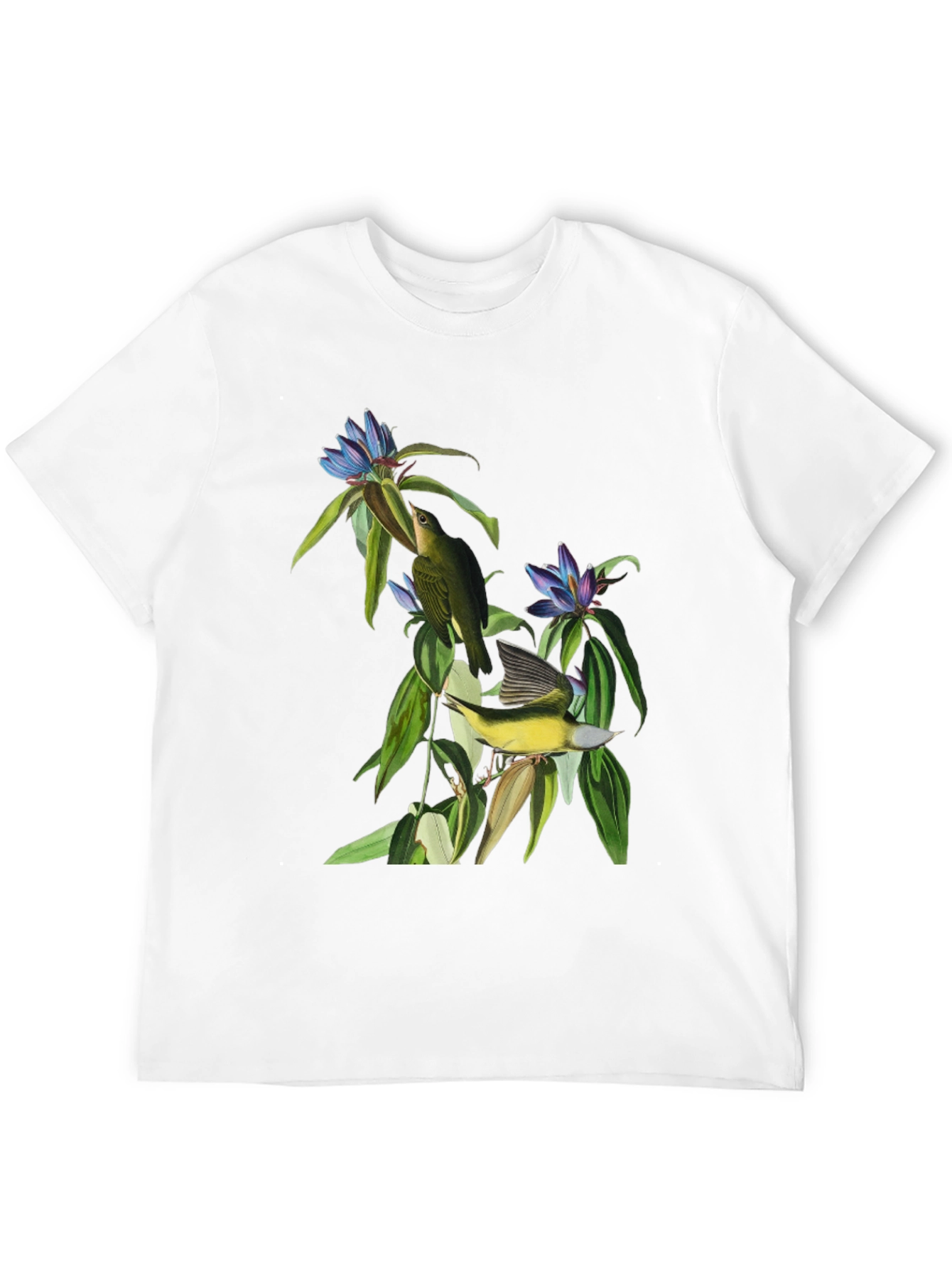 Black Vintage Botanical Bird Graphic Tee view 12