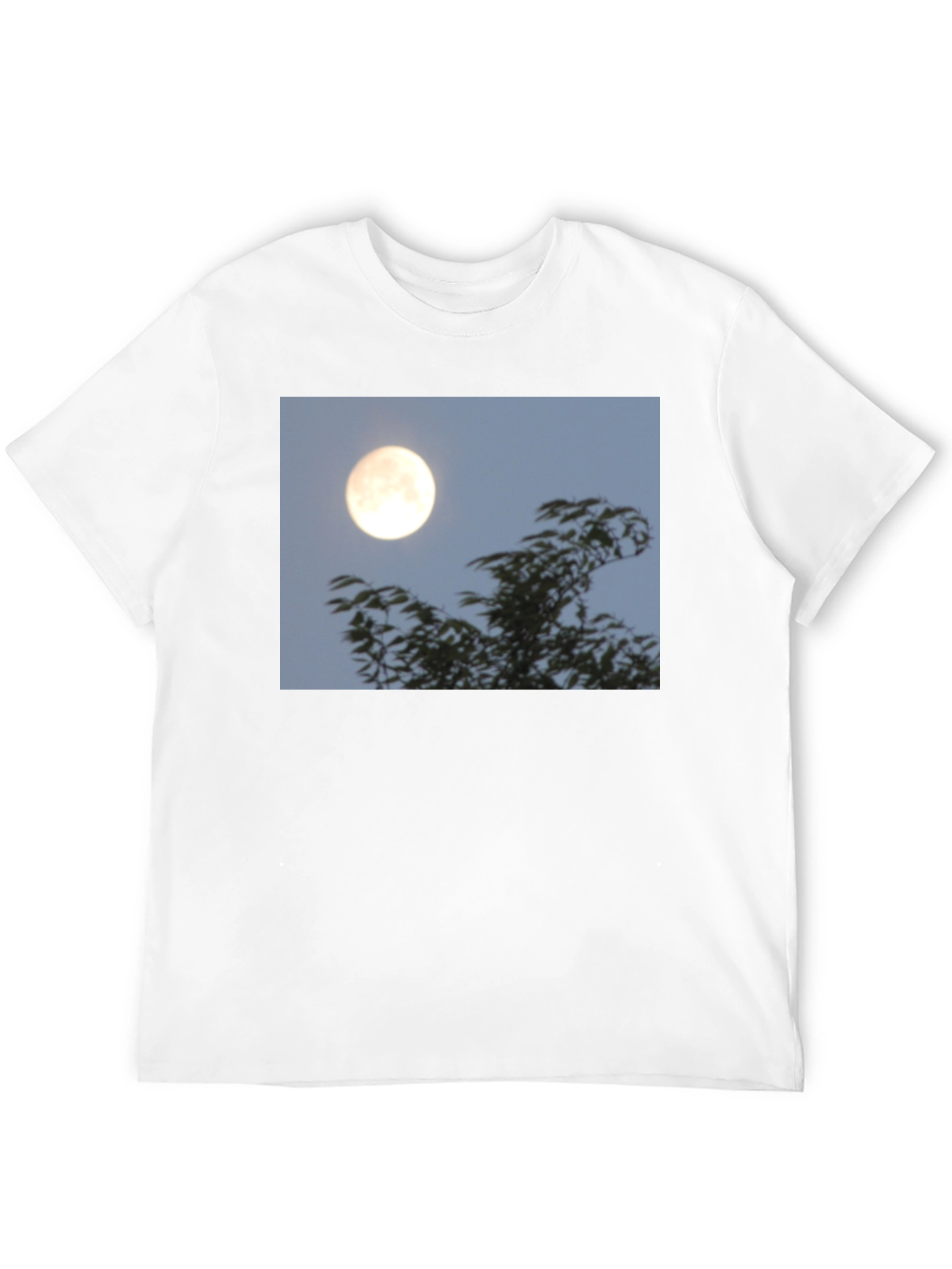 Black Moonlit Trees Graphic Tee - Black Cotton T-Shirt view 12