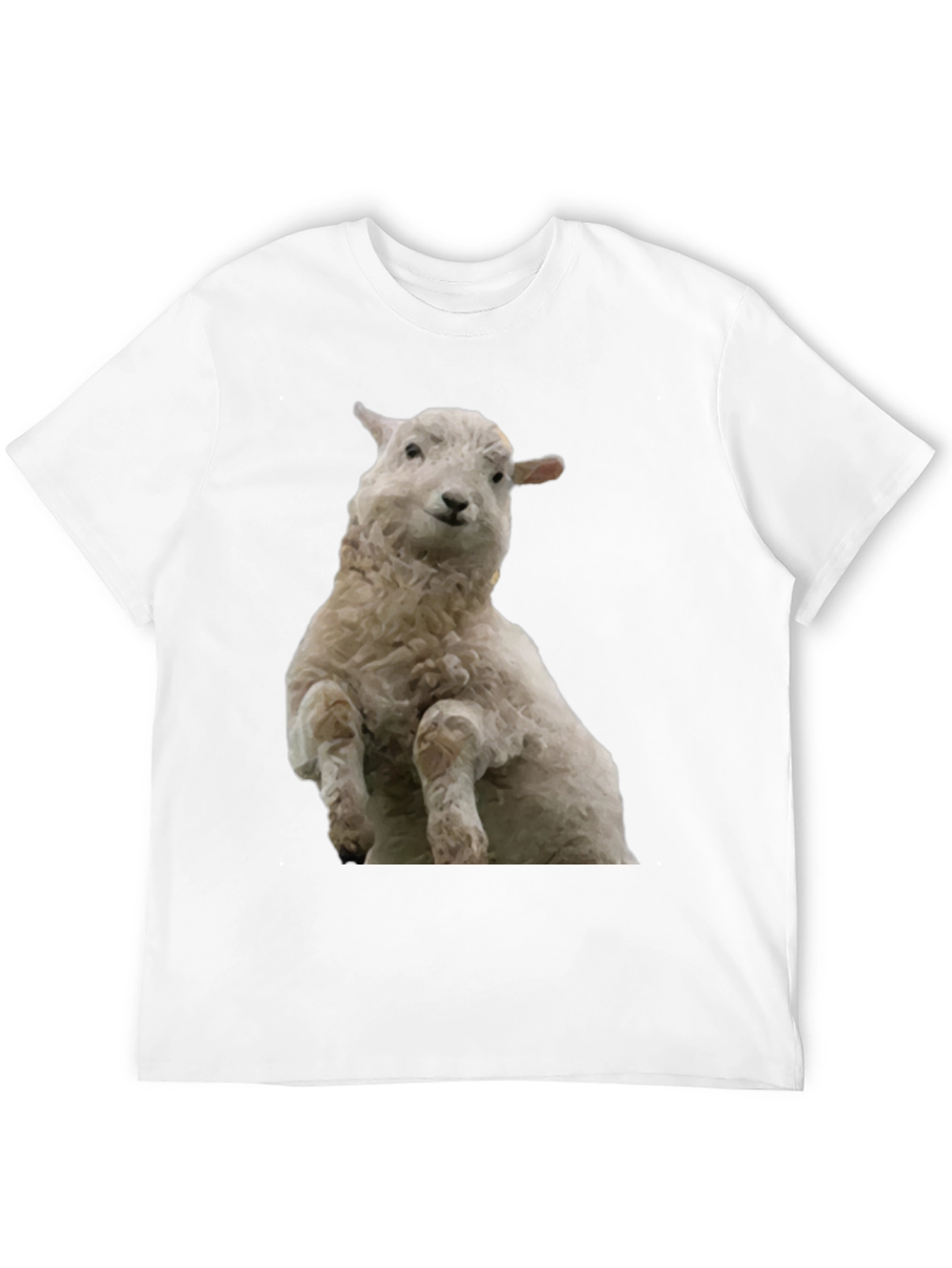 Black Black T-Shirt with Sheep Graphic view 12