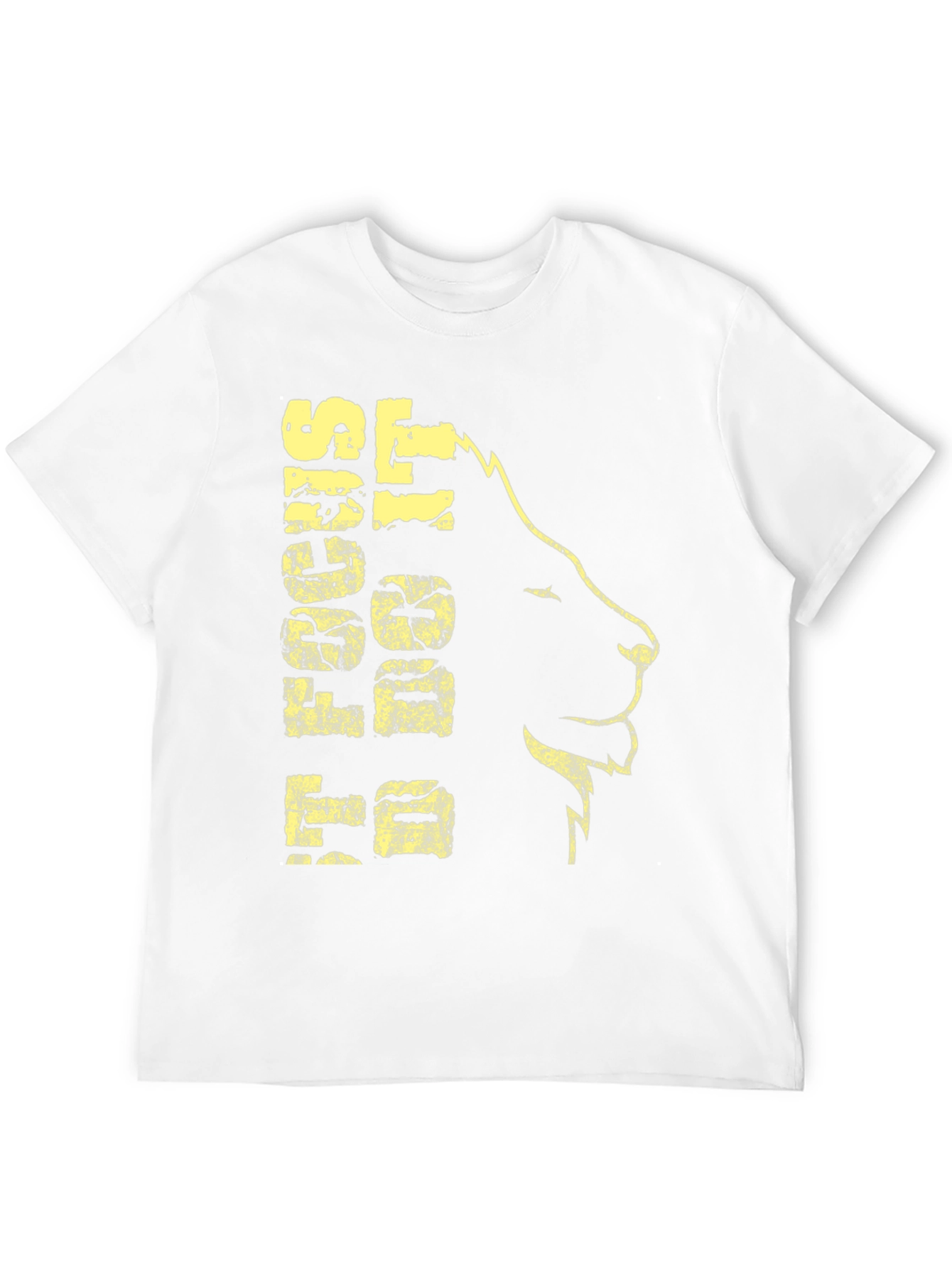 Black Lion Graphic Print T-Shirt - Black view 12