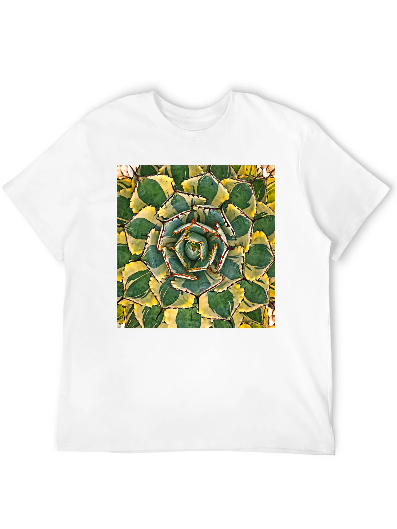 Black Agave Plant Graphic T-Shirt - Black Cotton Tee view 12