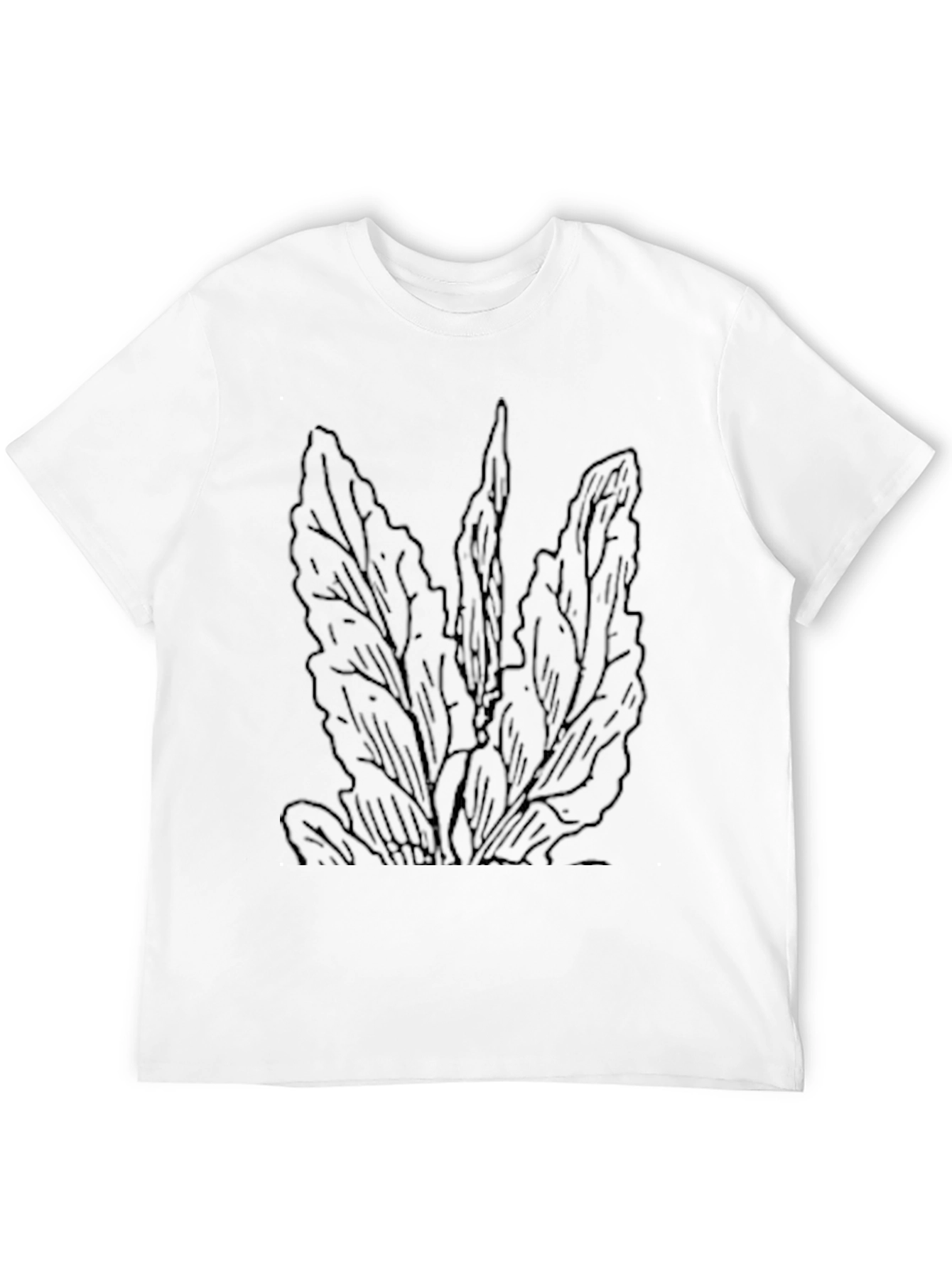 Black Men's Black Graphic Tee - Botanical Line Art view 12