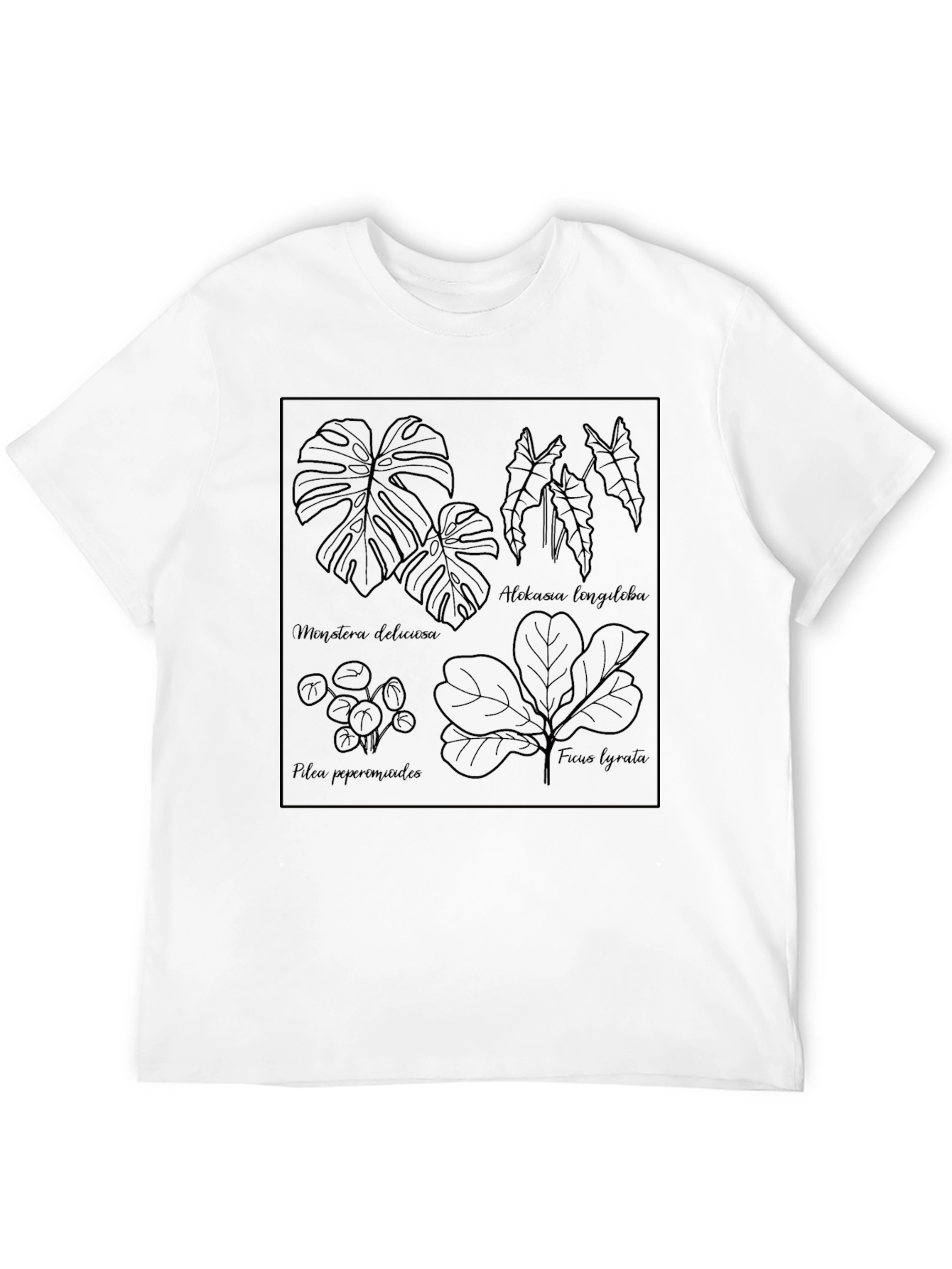 Black Botanical Line Art Tee - Stylish Plant Lover Shirt view 12