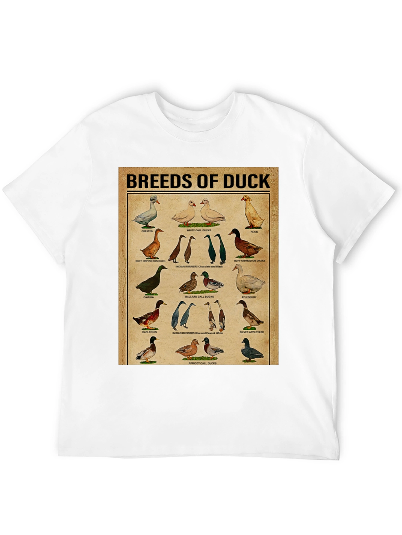 Black Breeds of Duck T-Shirt - Bird Lover Gift view 12