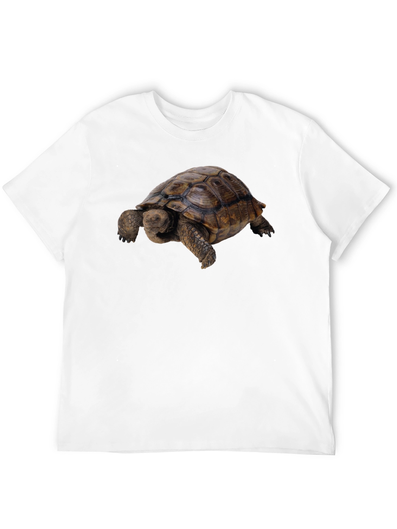 Black Tortoise Graphic Tee - Classic Crew Neck view 12