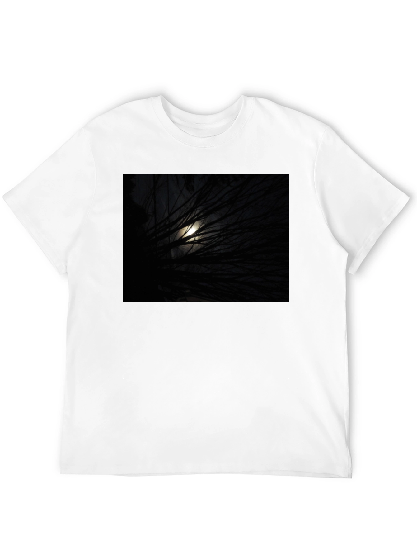 Black Moonlit Branches Graphic Tee - Unisex Black T-Shirt view 12