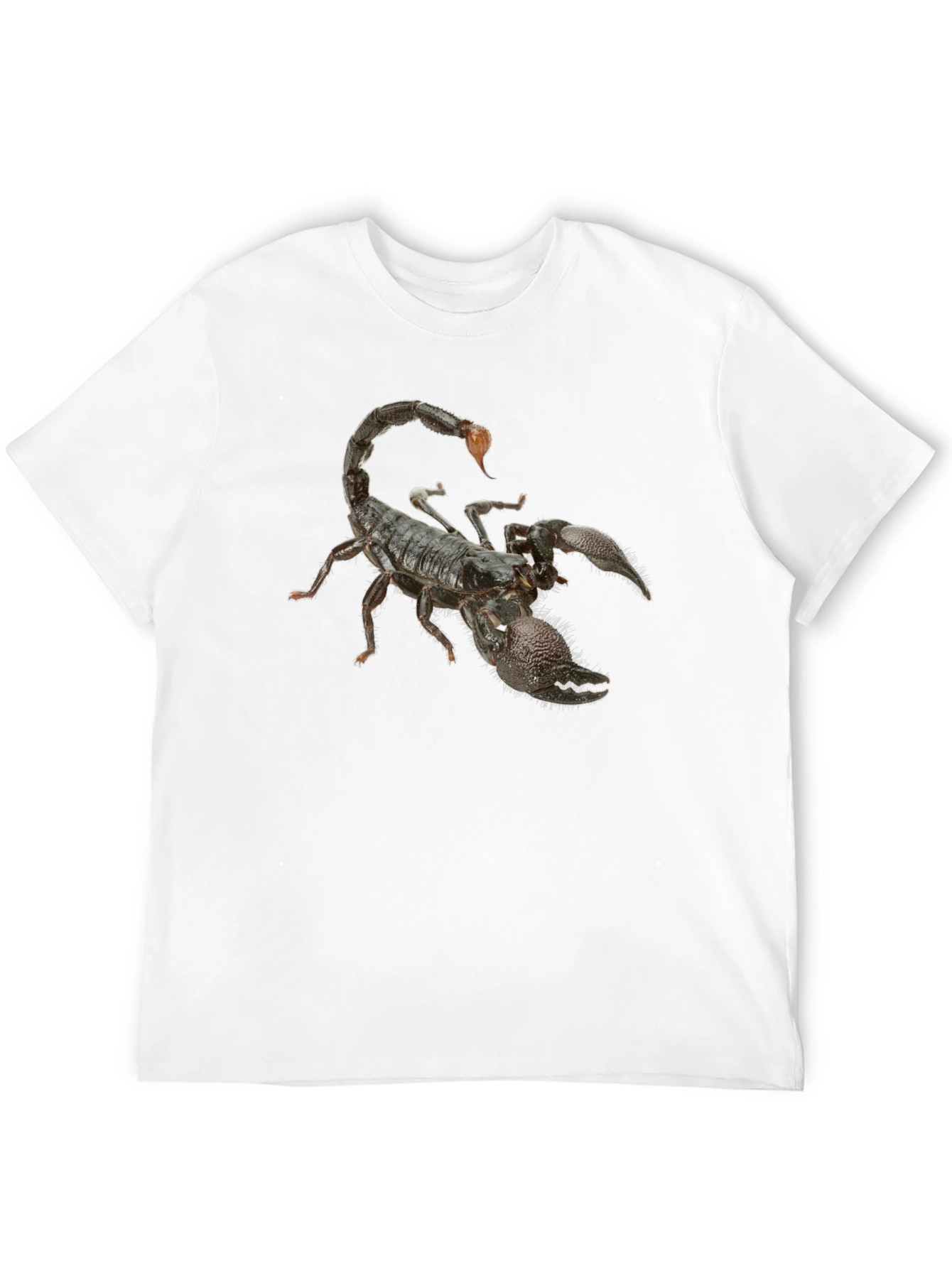 Black Scorpion Graphic Black T-Shirt view 12
