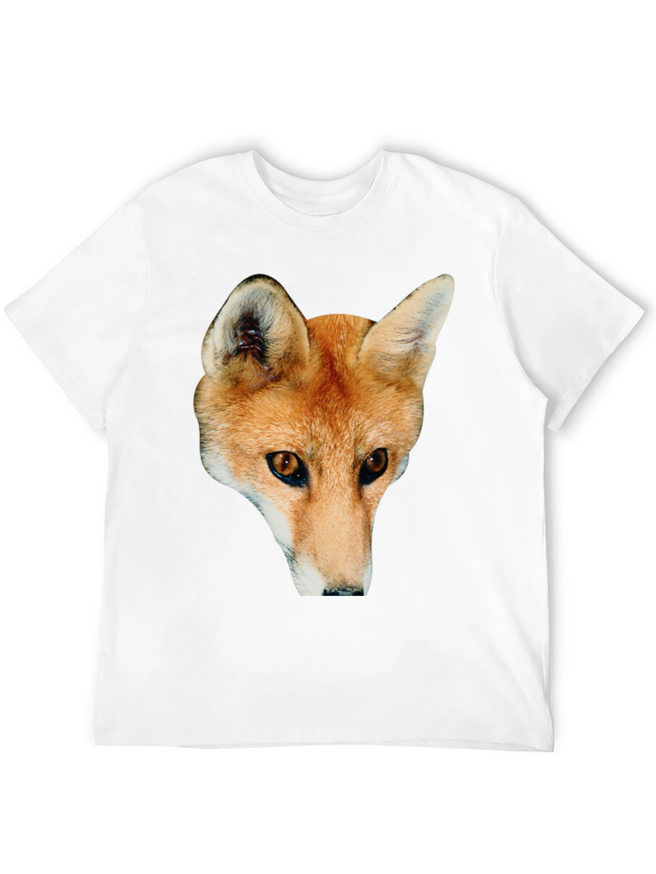 Black Fox Graphic Black T-Shirt view 12