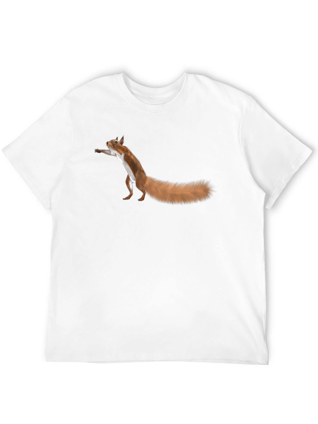 Black Squirrel Graphic Tee - Fun Black T-Shirt view 12
