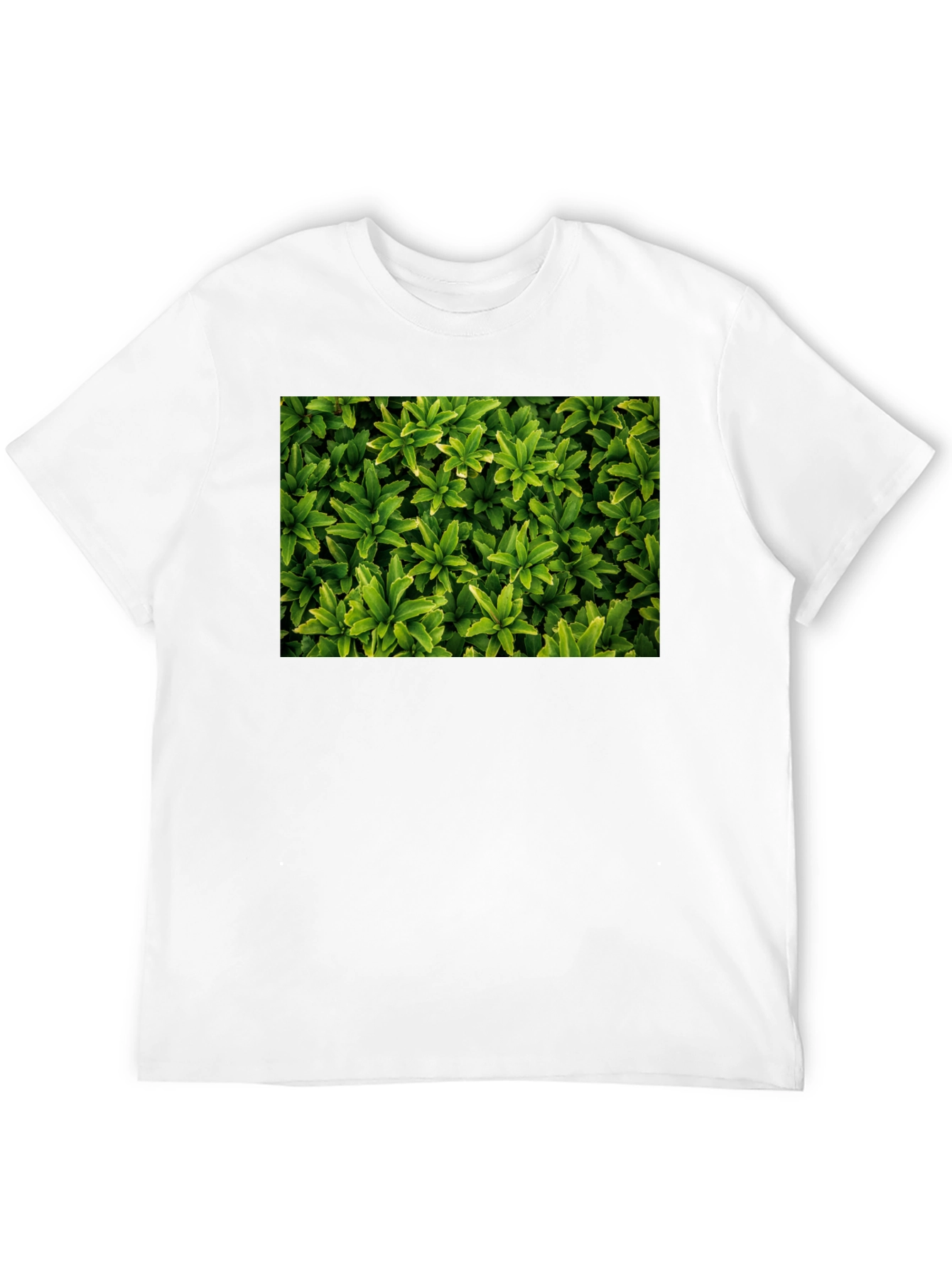 Black Leaf Print Black T-Shirt view 12