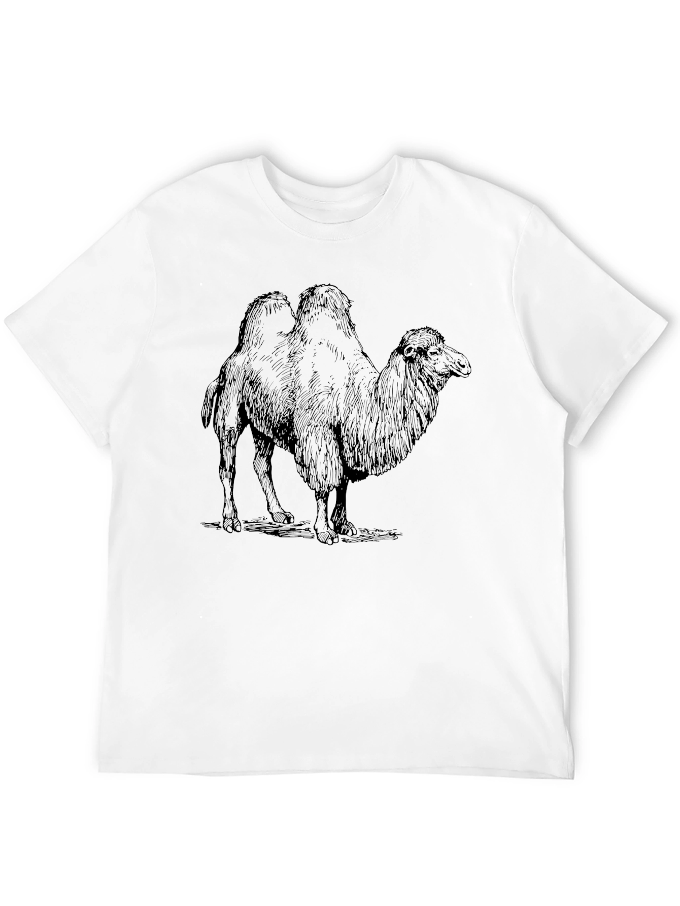 Black Camel Graphic Print Black T-Shirt view 12