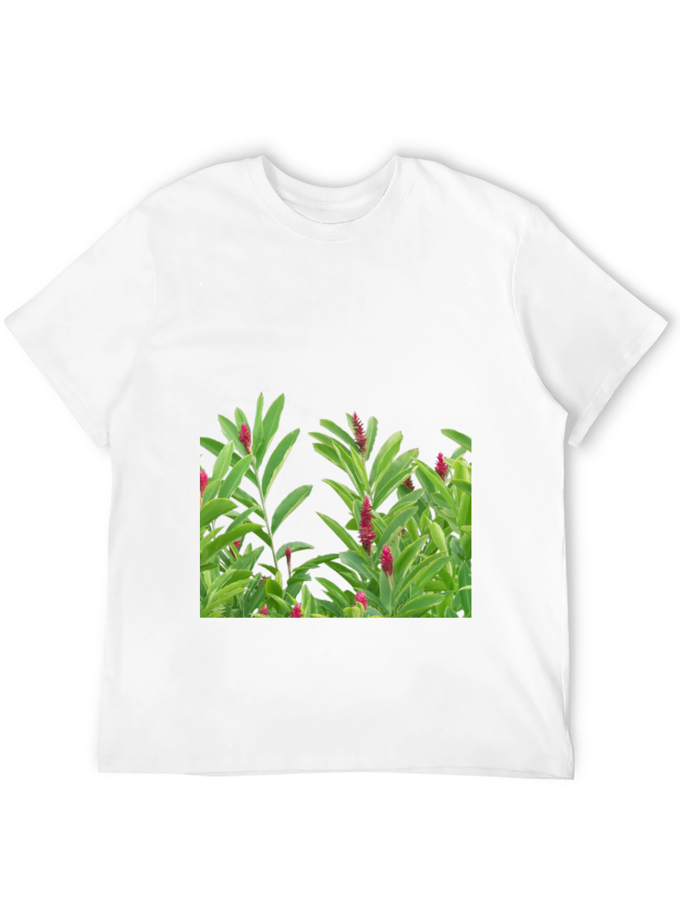 Black Tropical Plant Graphic Tee - Black Cotton Shirt view 12