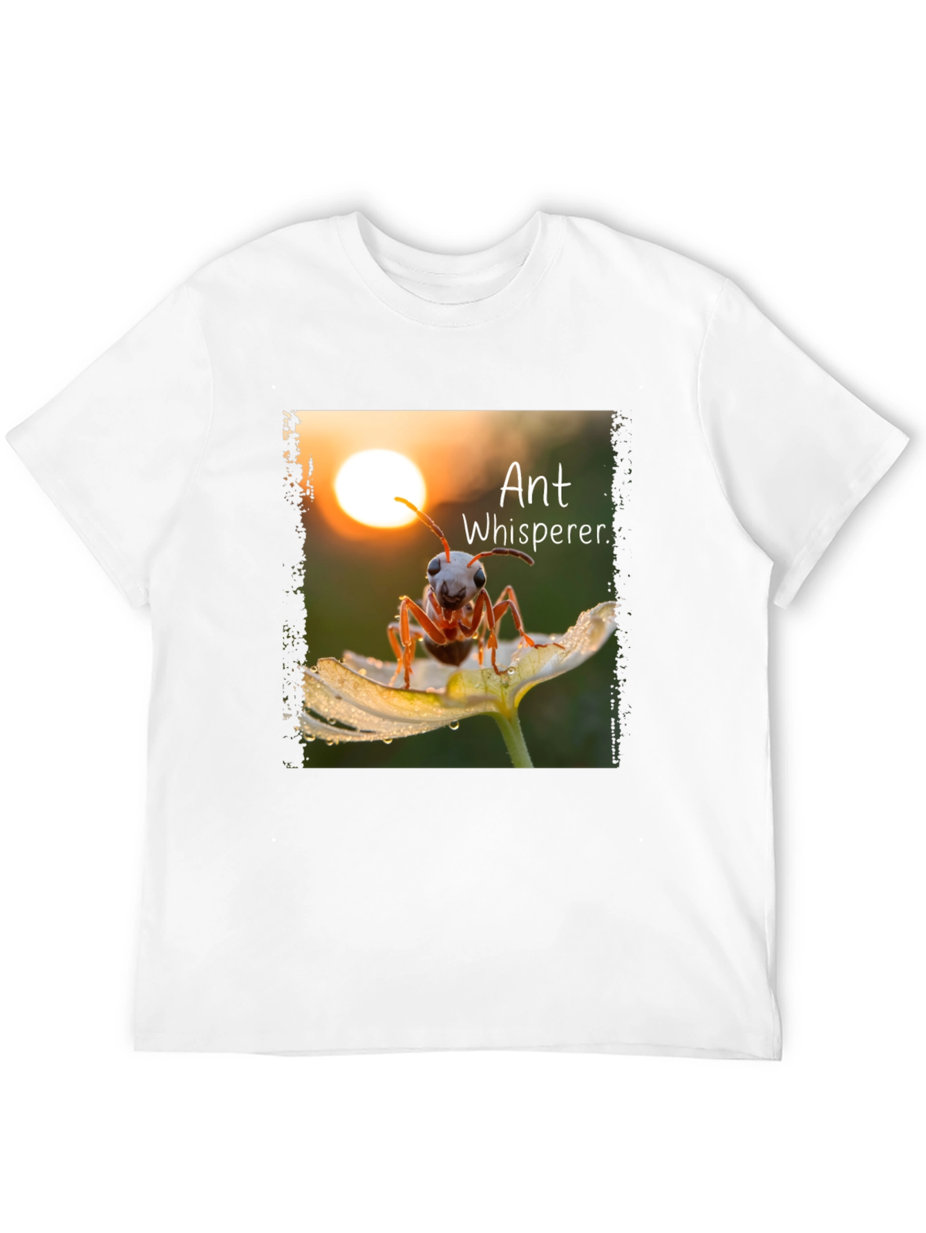 Black Ant Whisperer Graphic T-Shirt view 12
